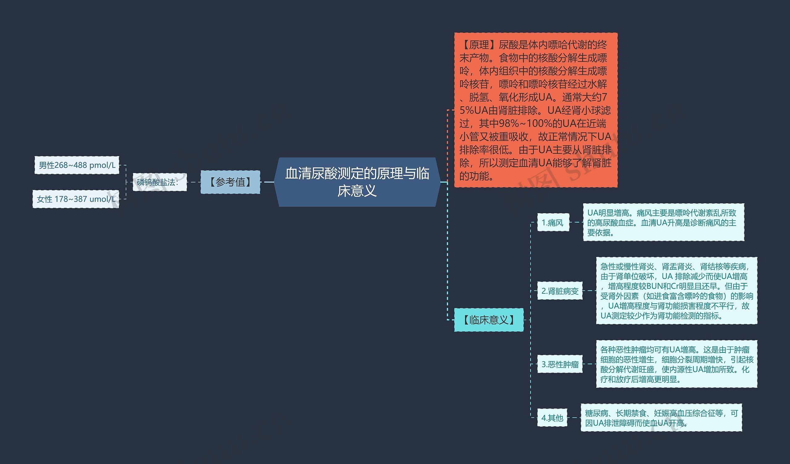 血清尿酸测定的原理与临床意义思维导图