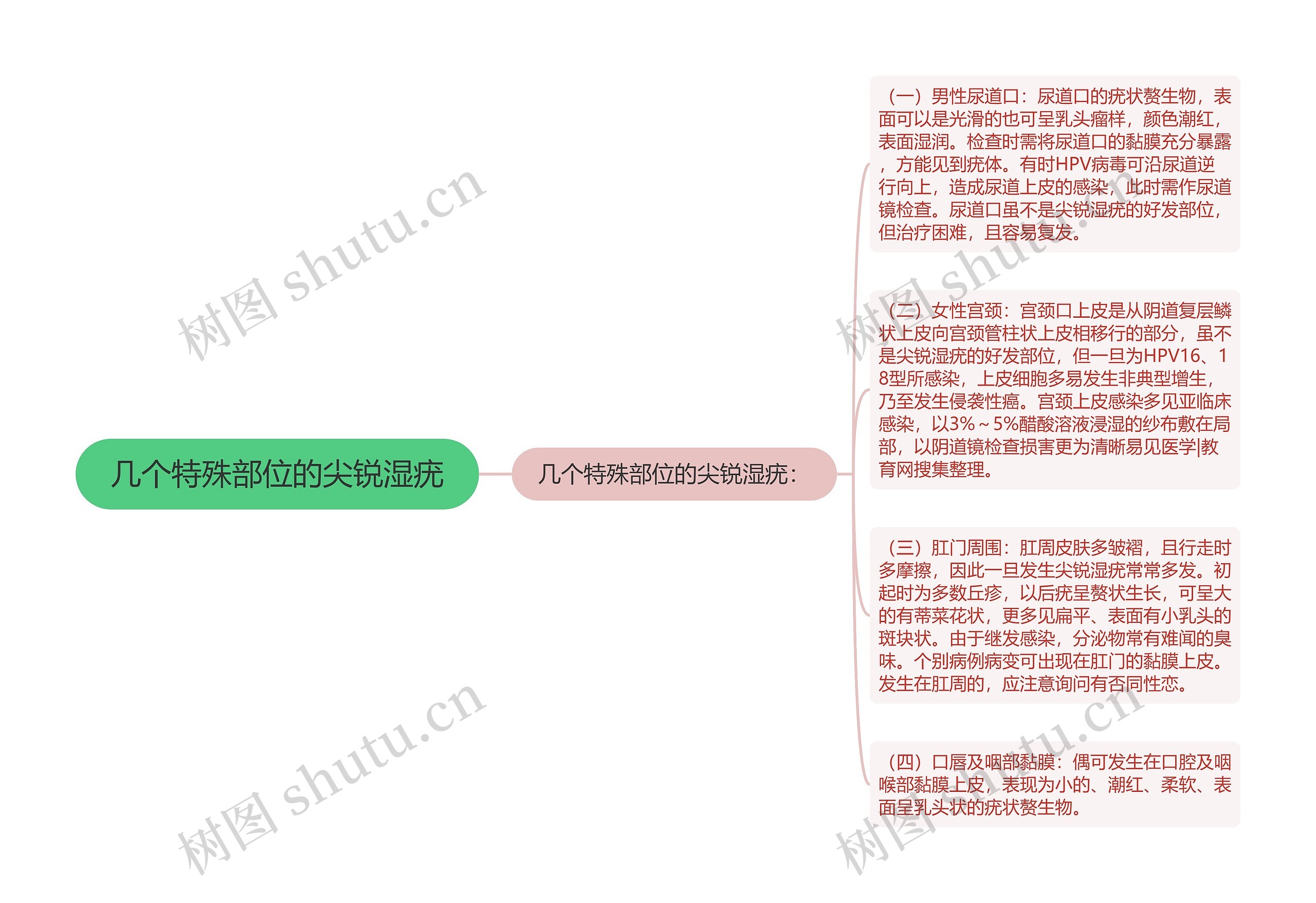 几个特殊部位的尖锐湿疣 几个特殊部位的尖锐湿疣