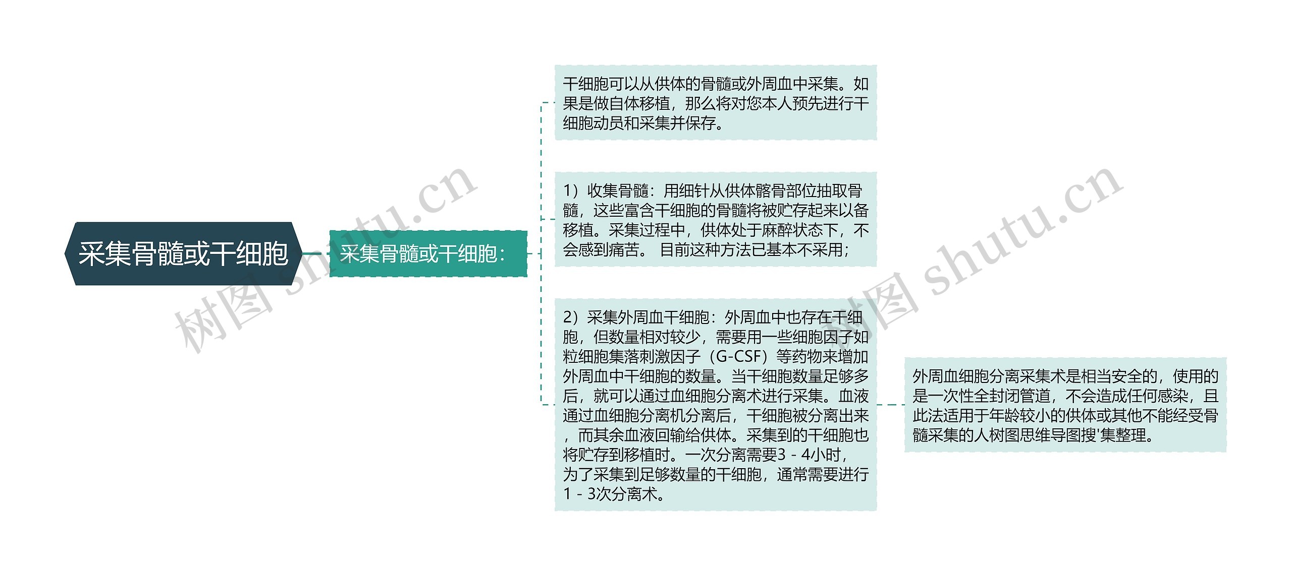 采集骨髓或干细胞 采集骨髓或干细胞