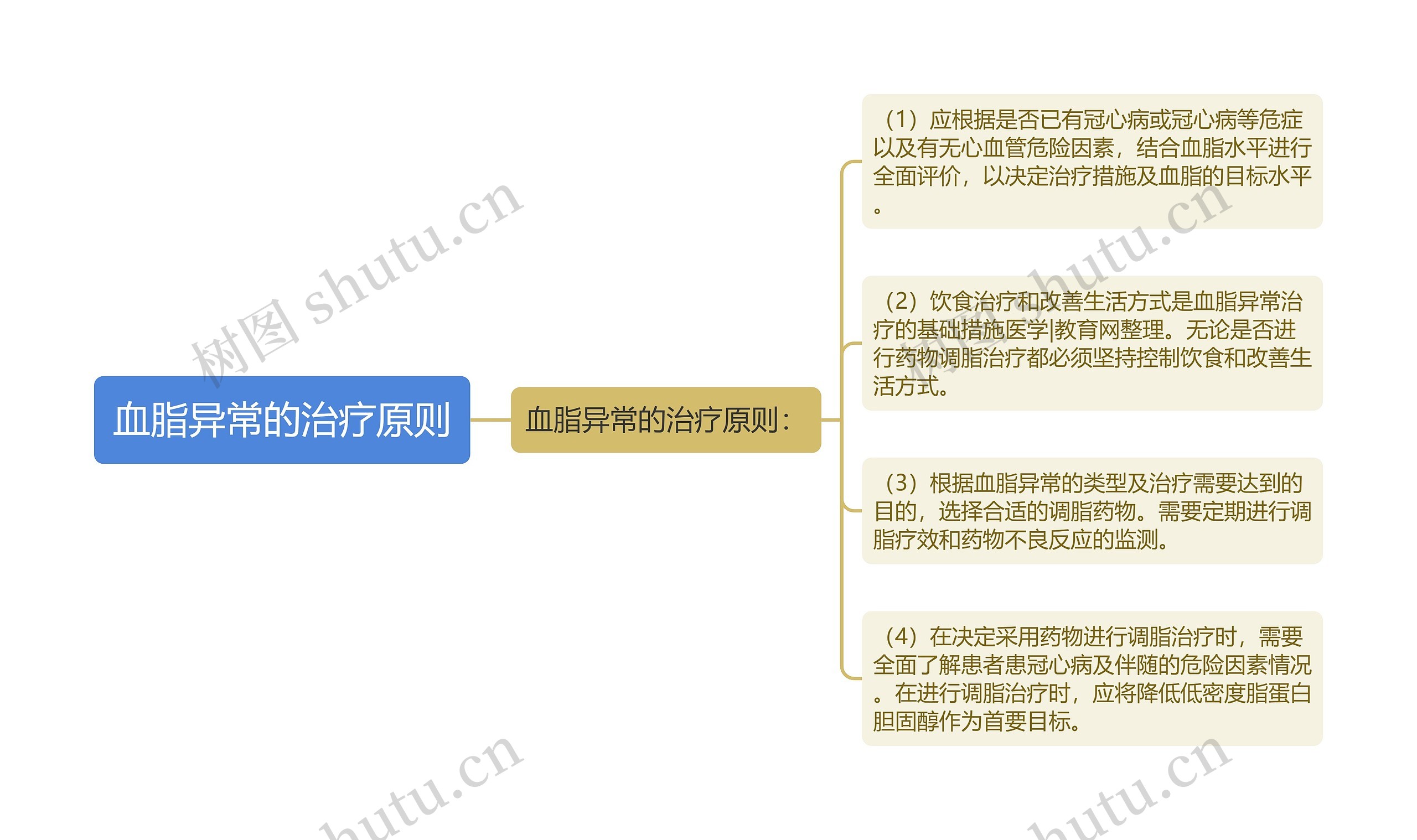 血脂异常的治疗原则思维导图