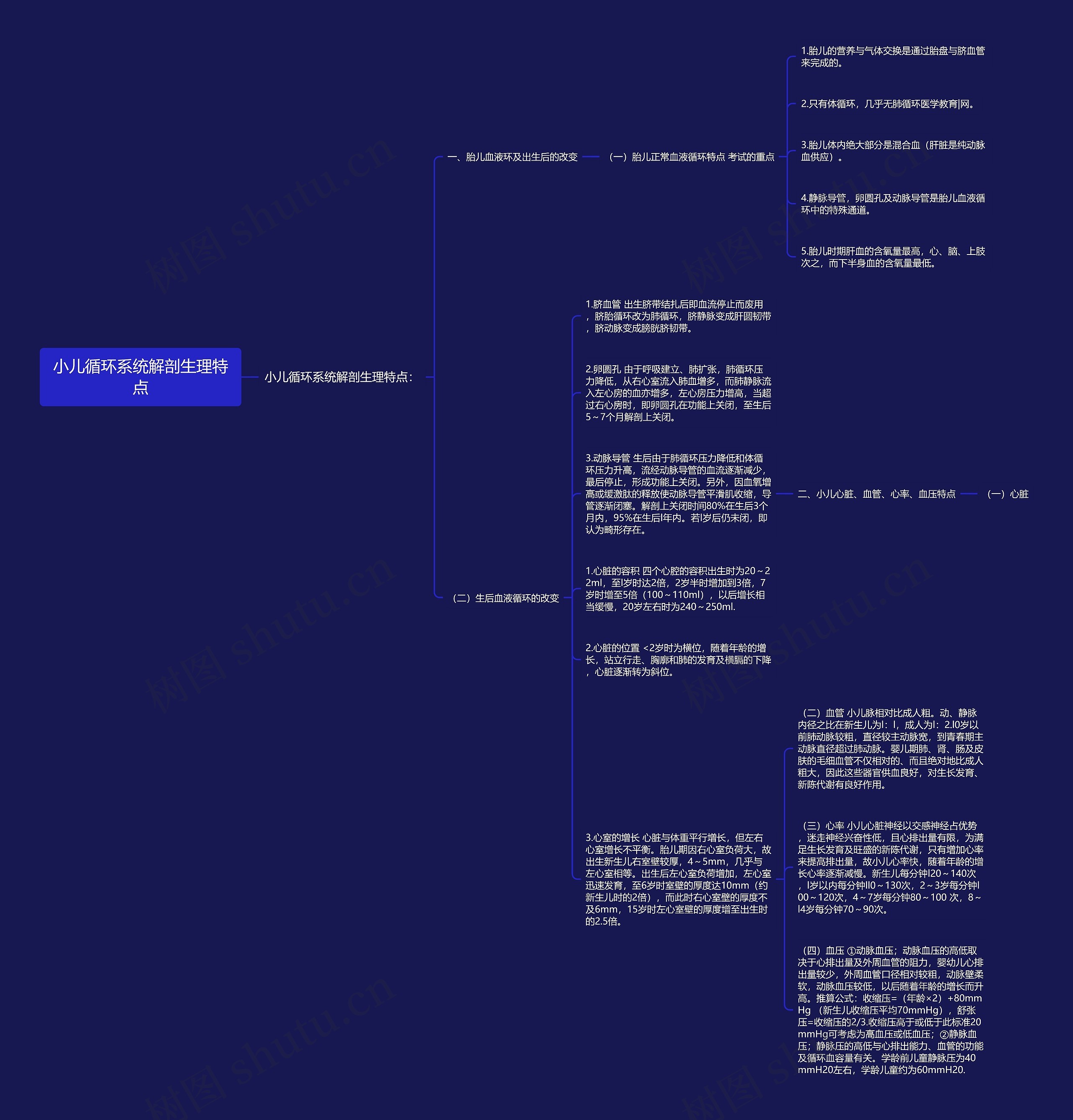 小儿循环系统解剖生理特点思维导图