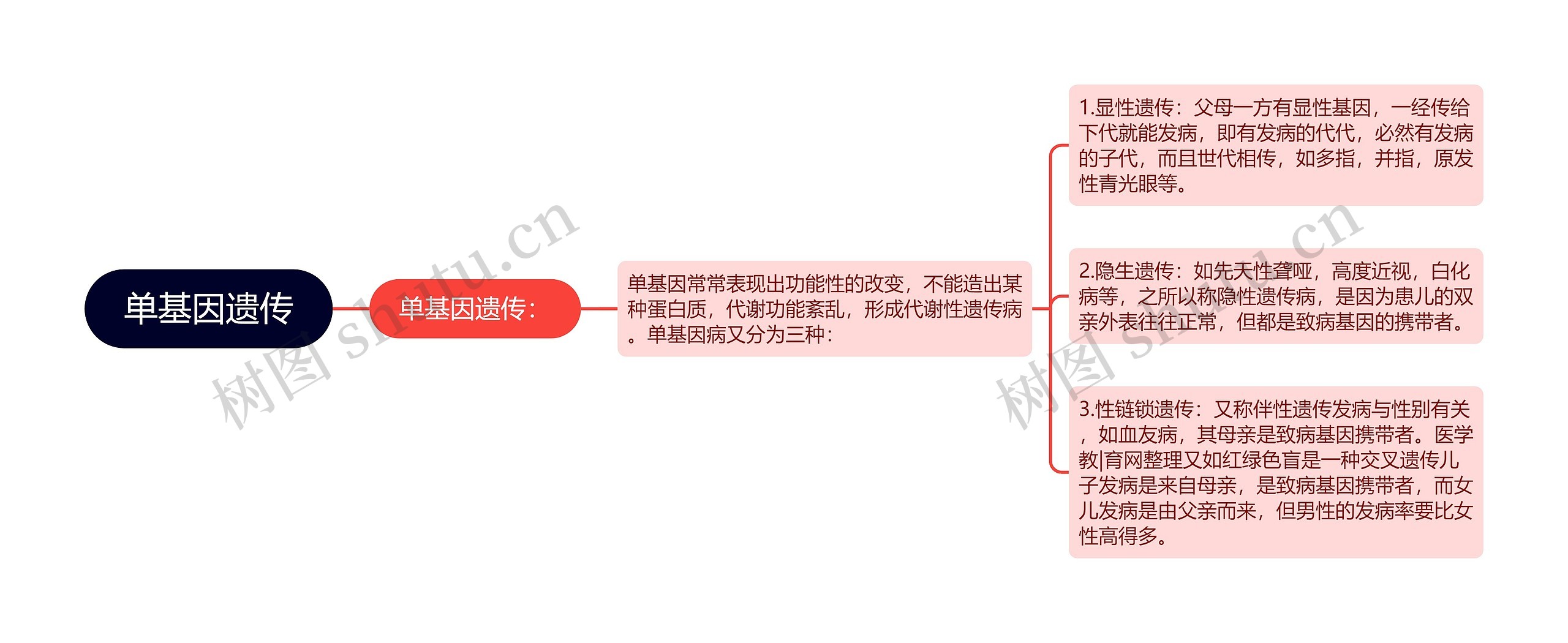 单基因遗传思维导图