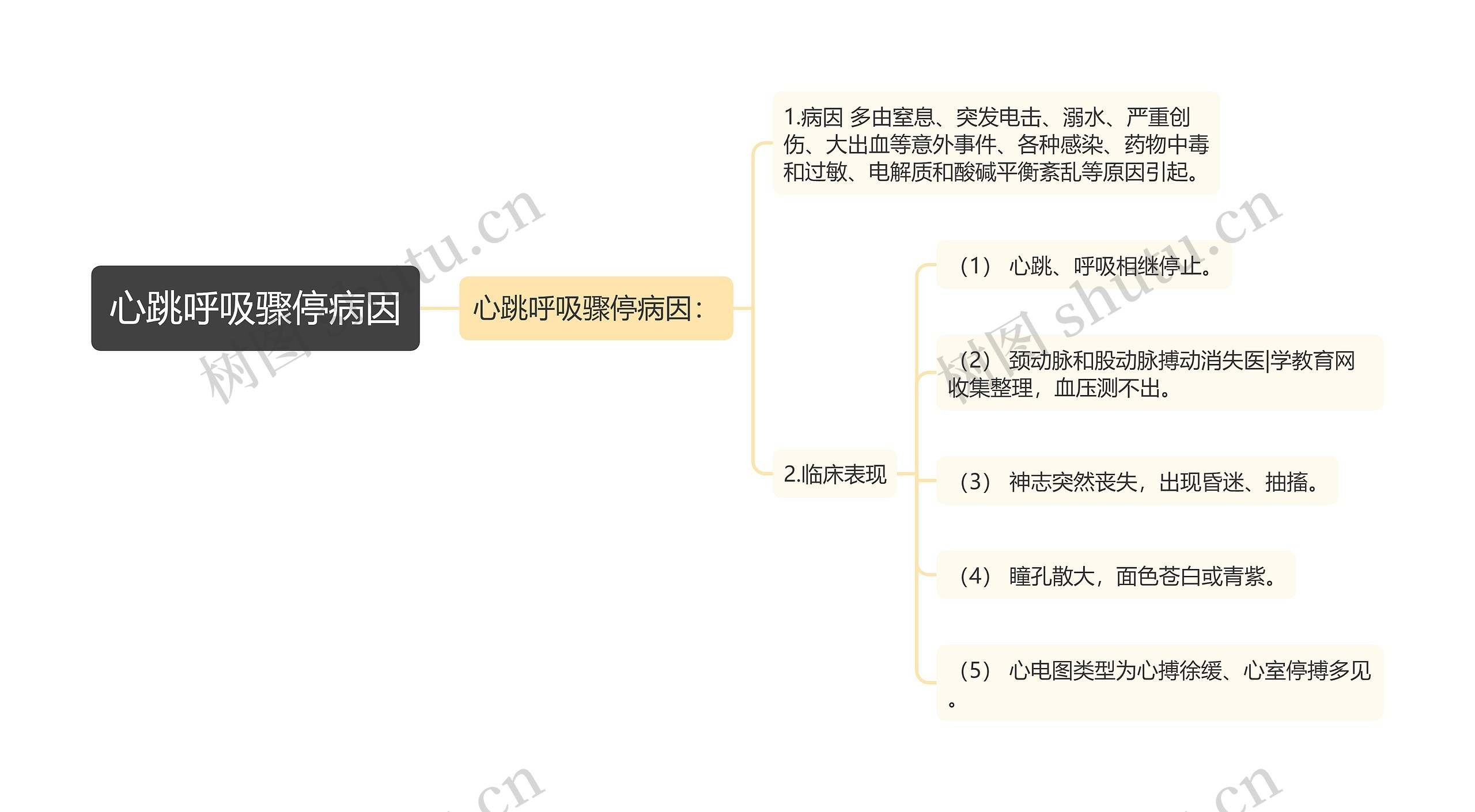 心跳呼吸骤停病因思维导图