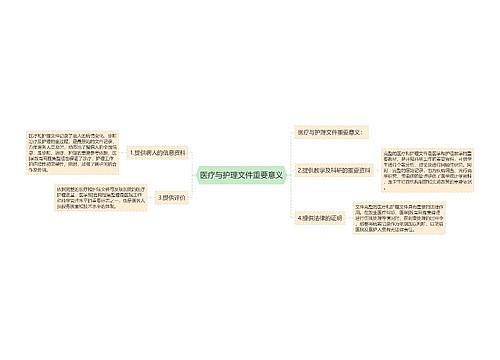 医疗与护理文件重要意义