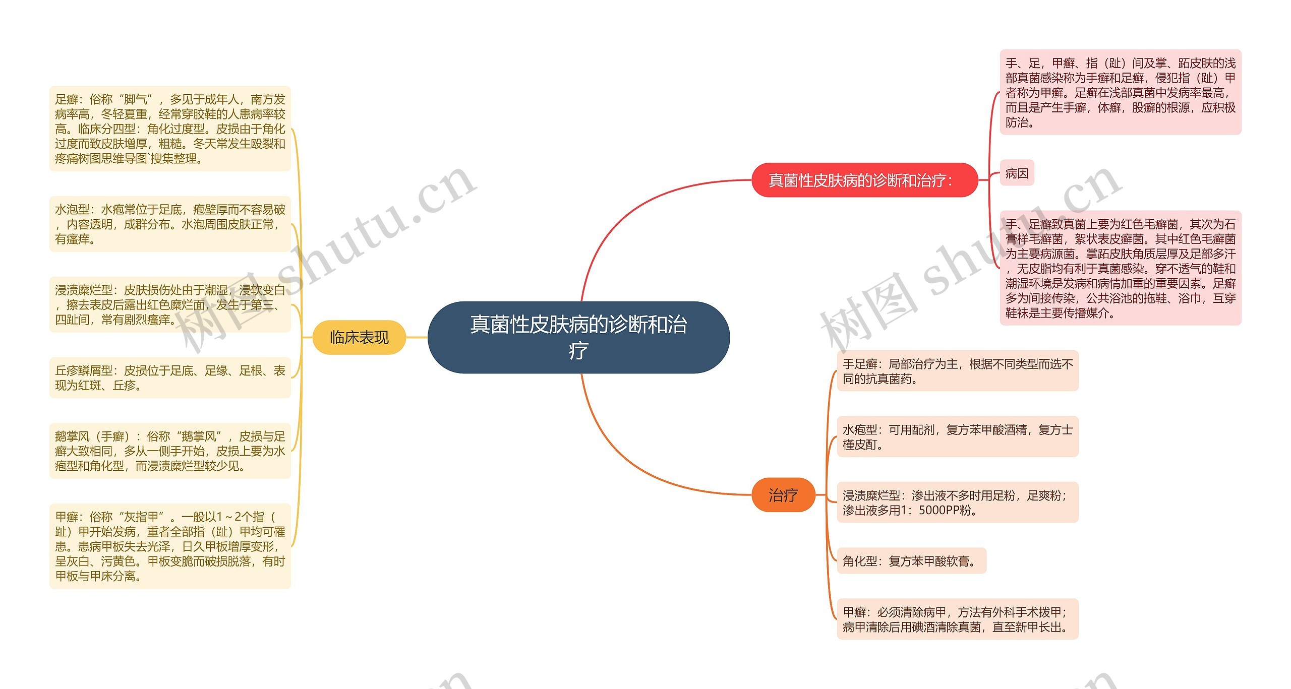 真菌性皮肤病的诊断和治疗思维导图