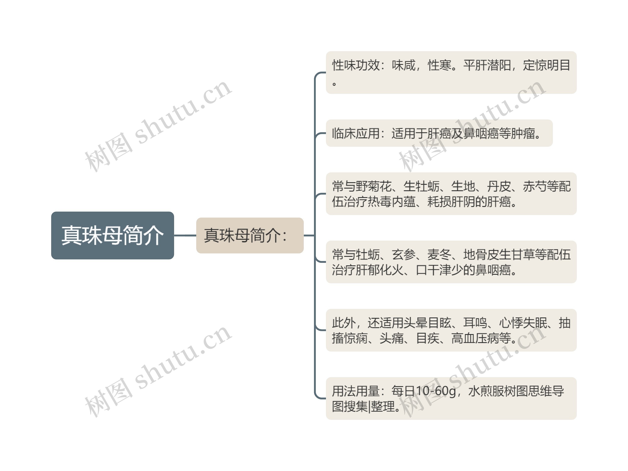 真珠母简介思维导图