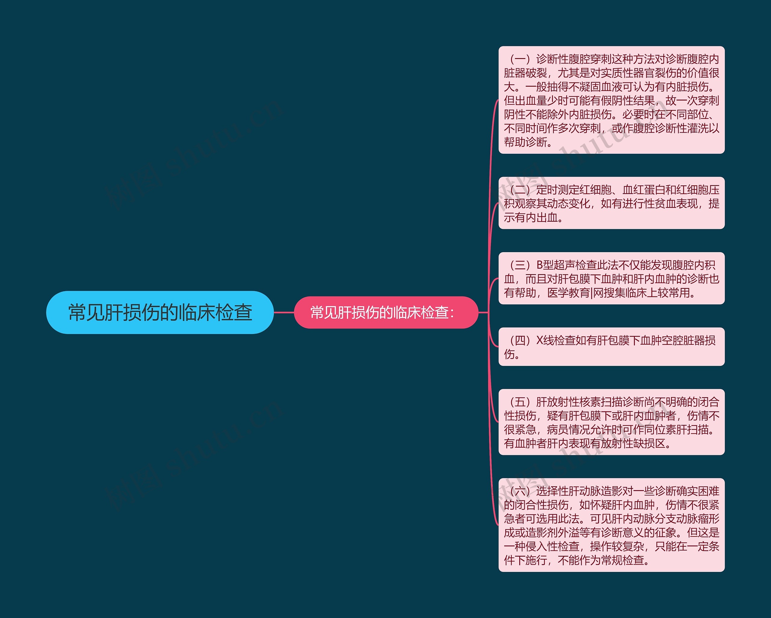 常见肝损伤的临床检查思维导图