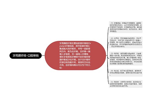 牙周膜纤维-口腔基础