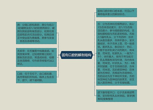 固有口腔的解剖结构