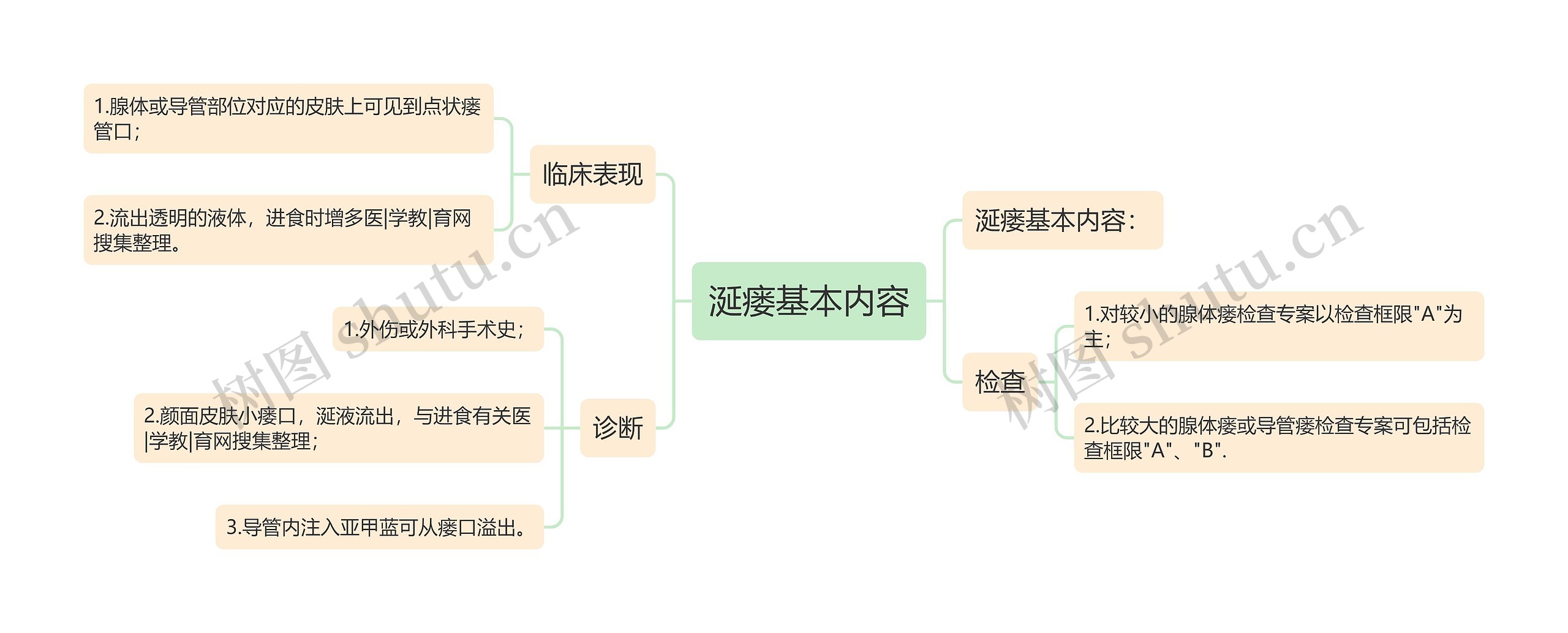 涎瘘基本内容