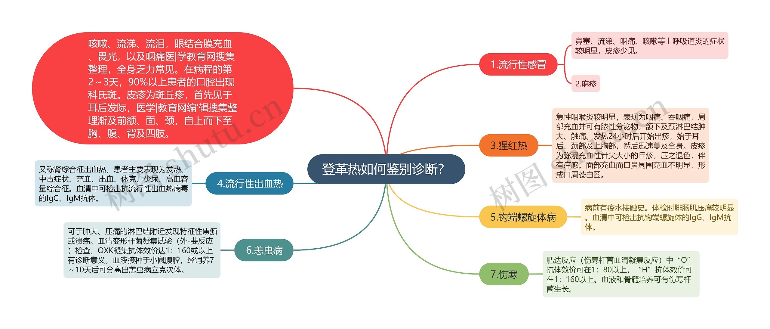 登革热如何鉴别诊断？思维导图