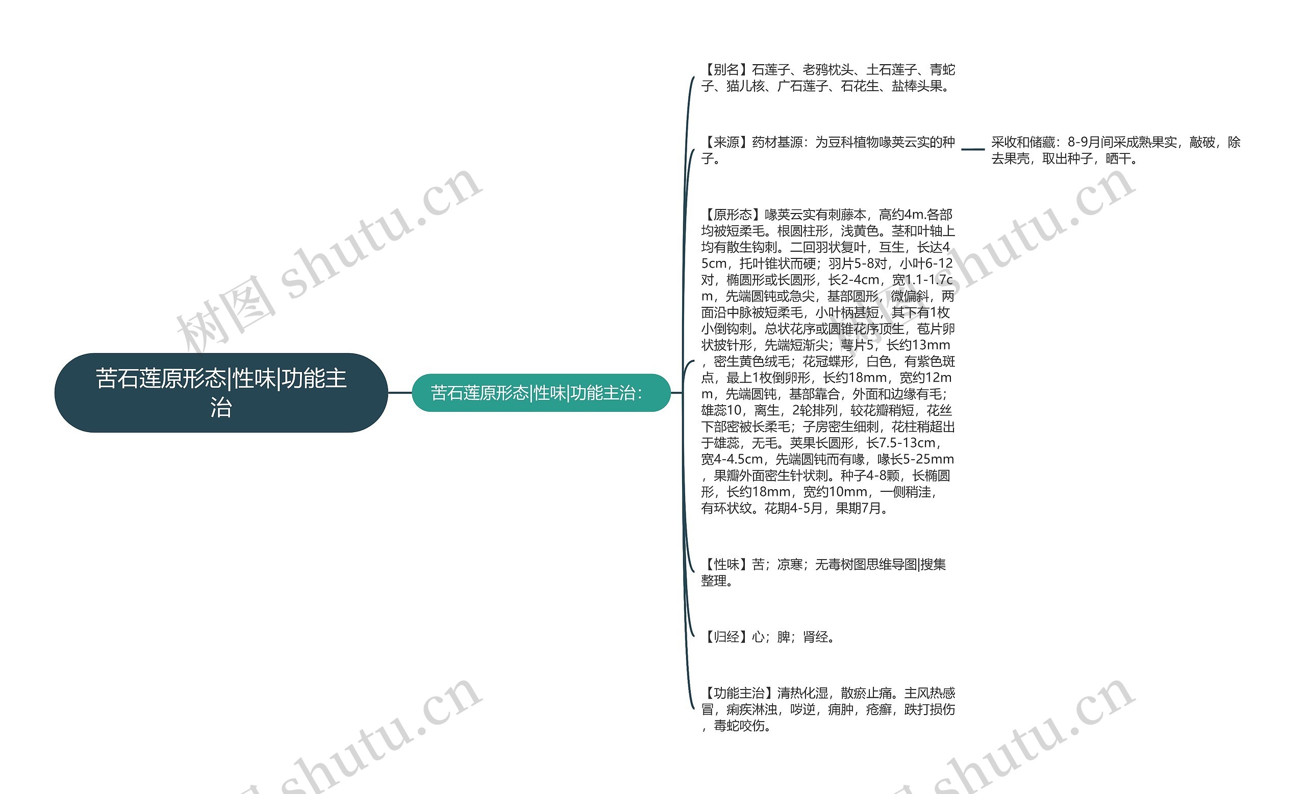 苦石莲原形态|性味|功能主治