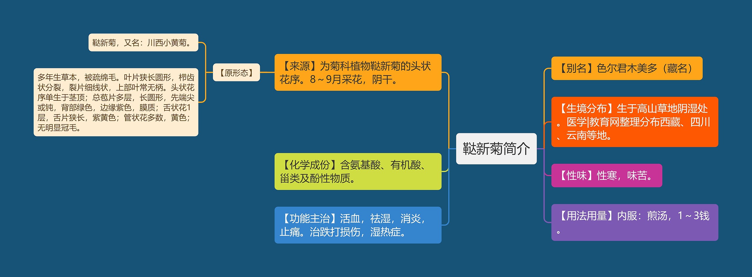 鞑新菊简介