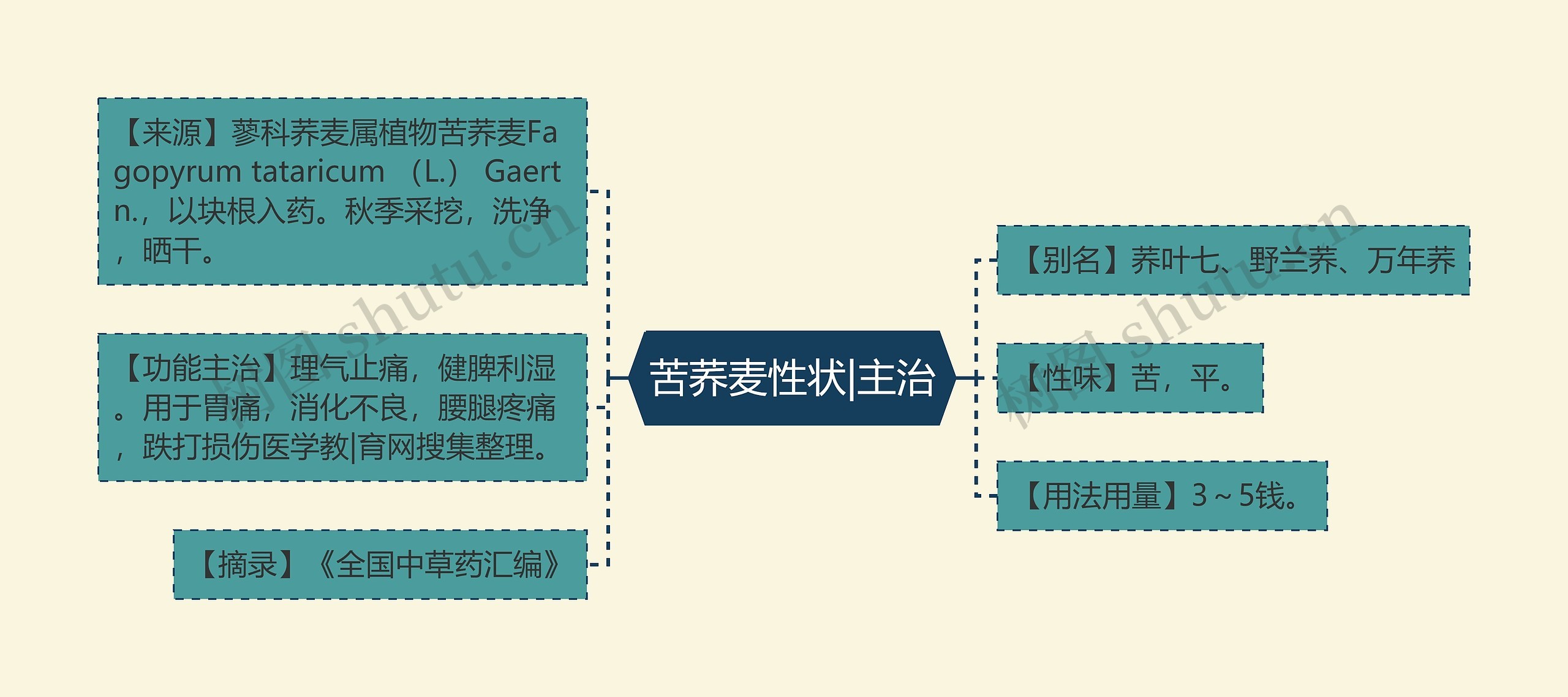 苦荞麦性状|主治思维导图