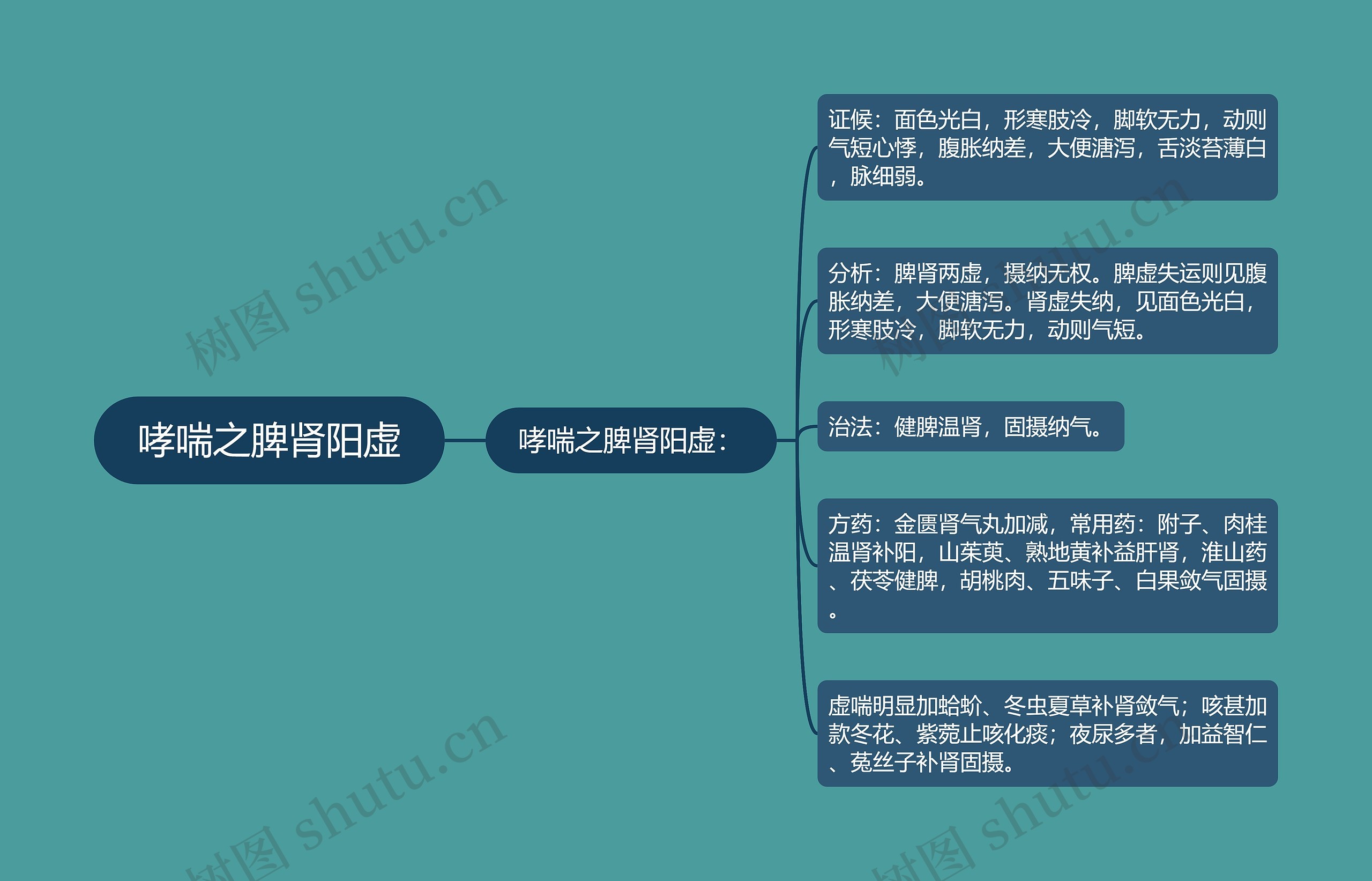 哮喘之脾肾阳虚思维导图