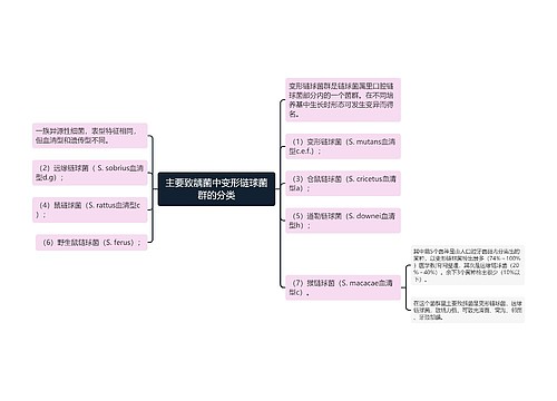 主要致龋菌中变形链球菌群的分类