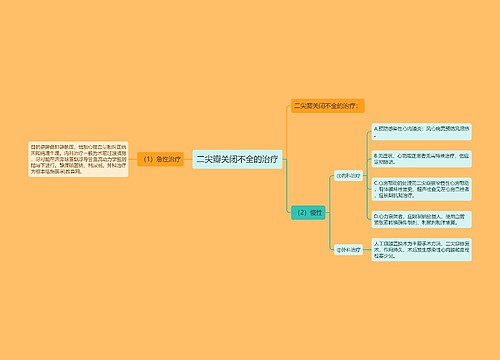 二尖瓣关闭不全的治疗