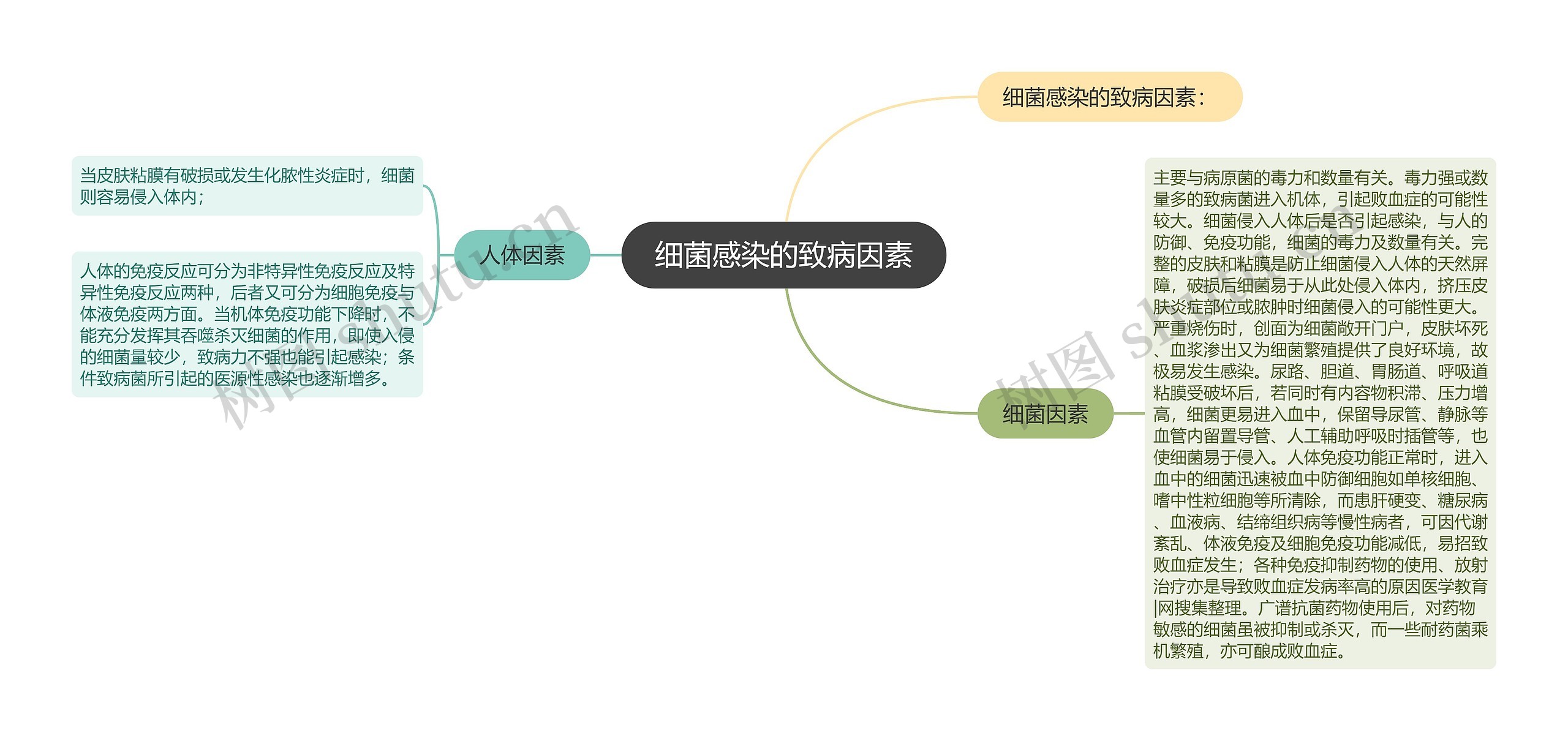 细菌感染的致病因素思维导图