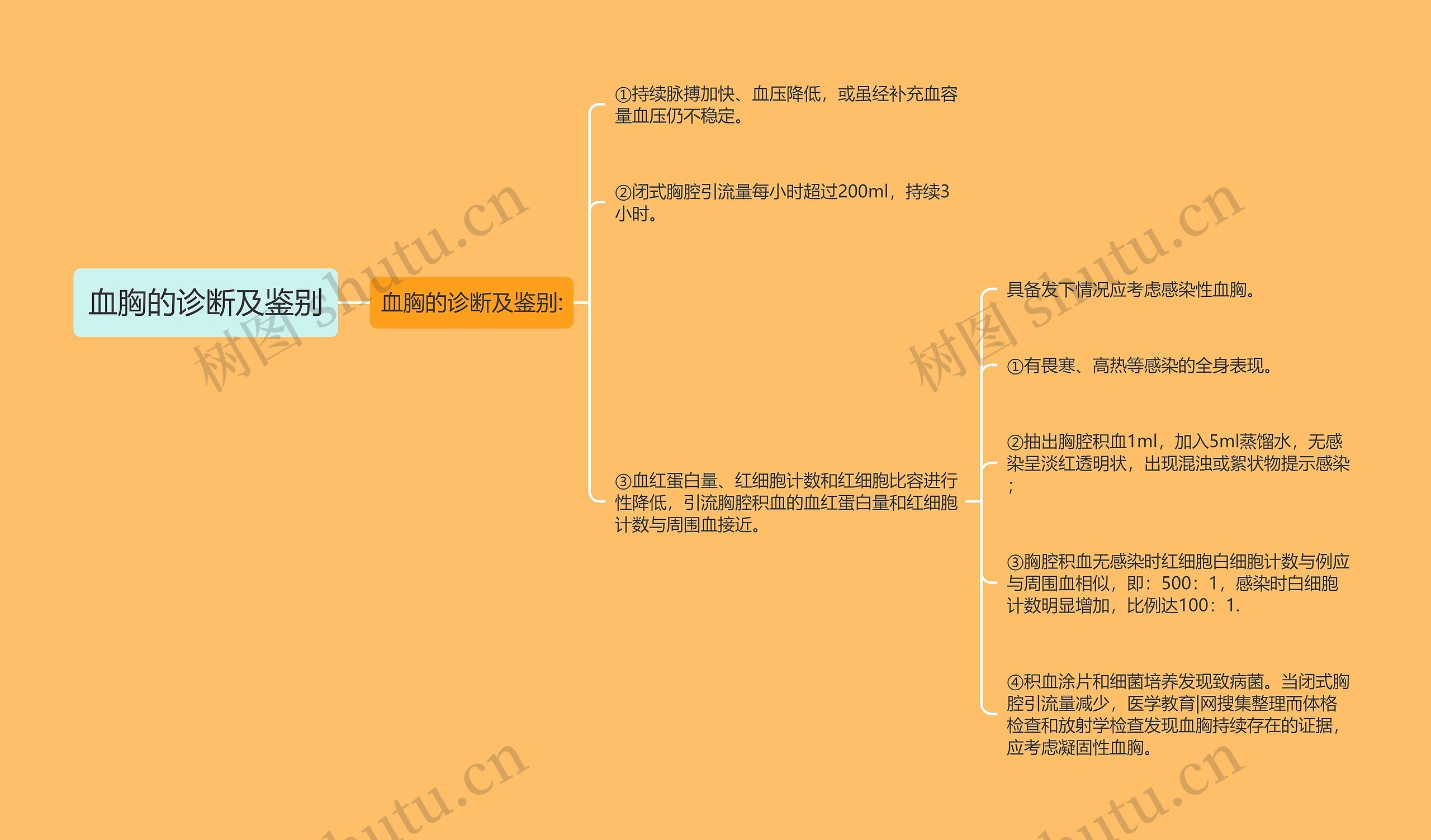 血胸的诊断及鉴别