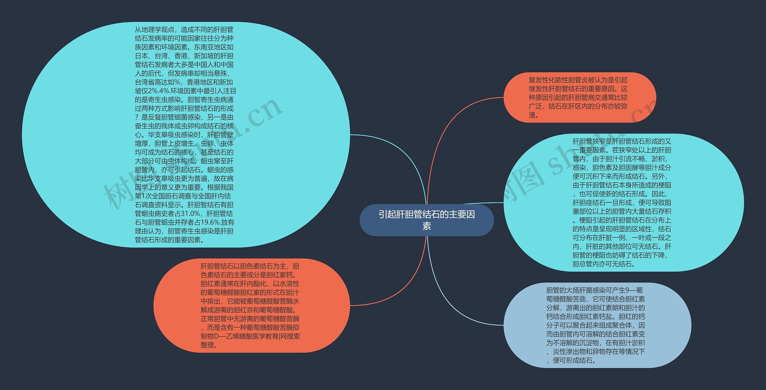 引起肝胆管结石的主要因素思维导图