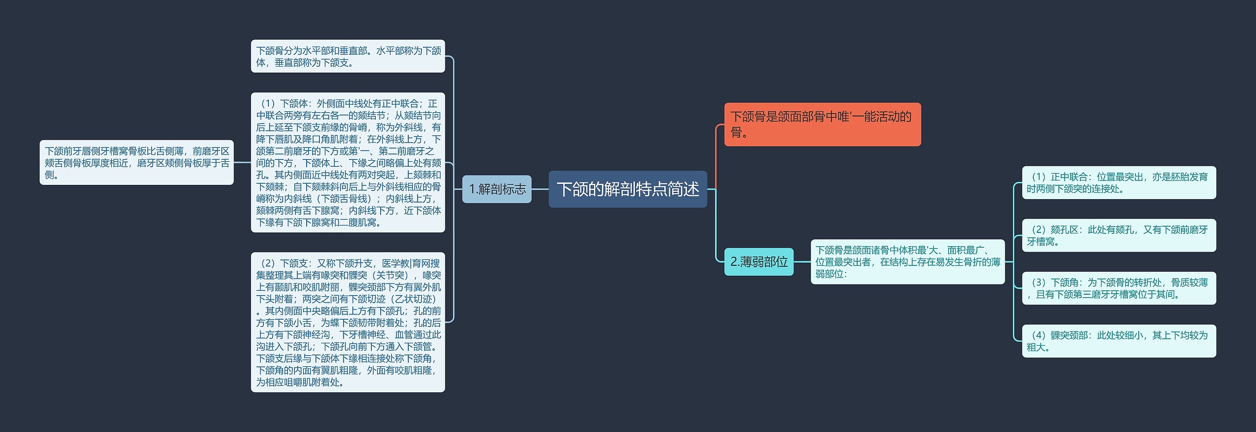 下颌的解剖特点简述思维导图