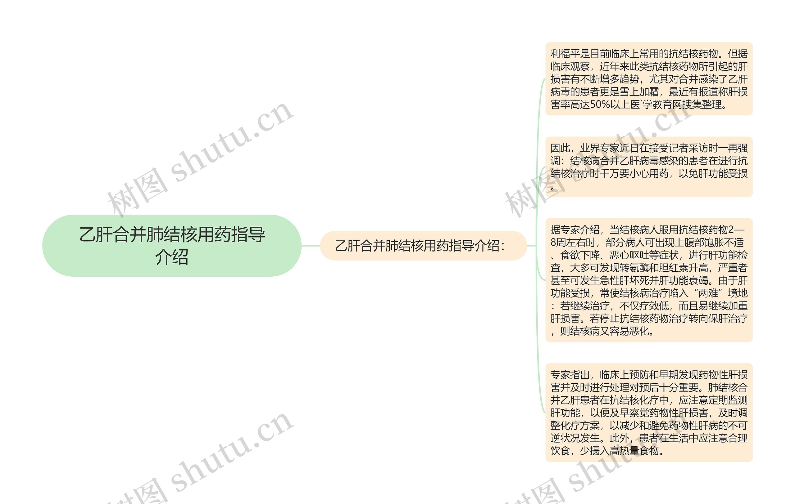 乙肝合并肺结核用药指导介绍