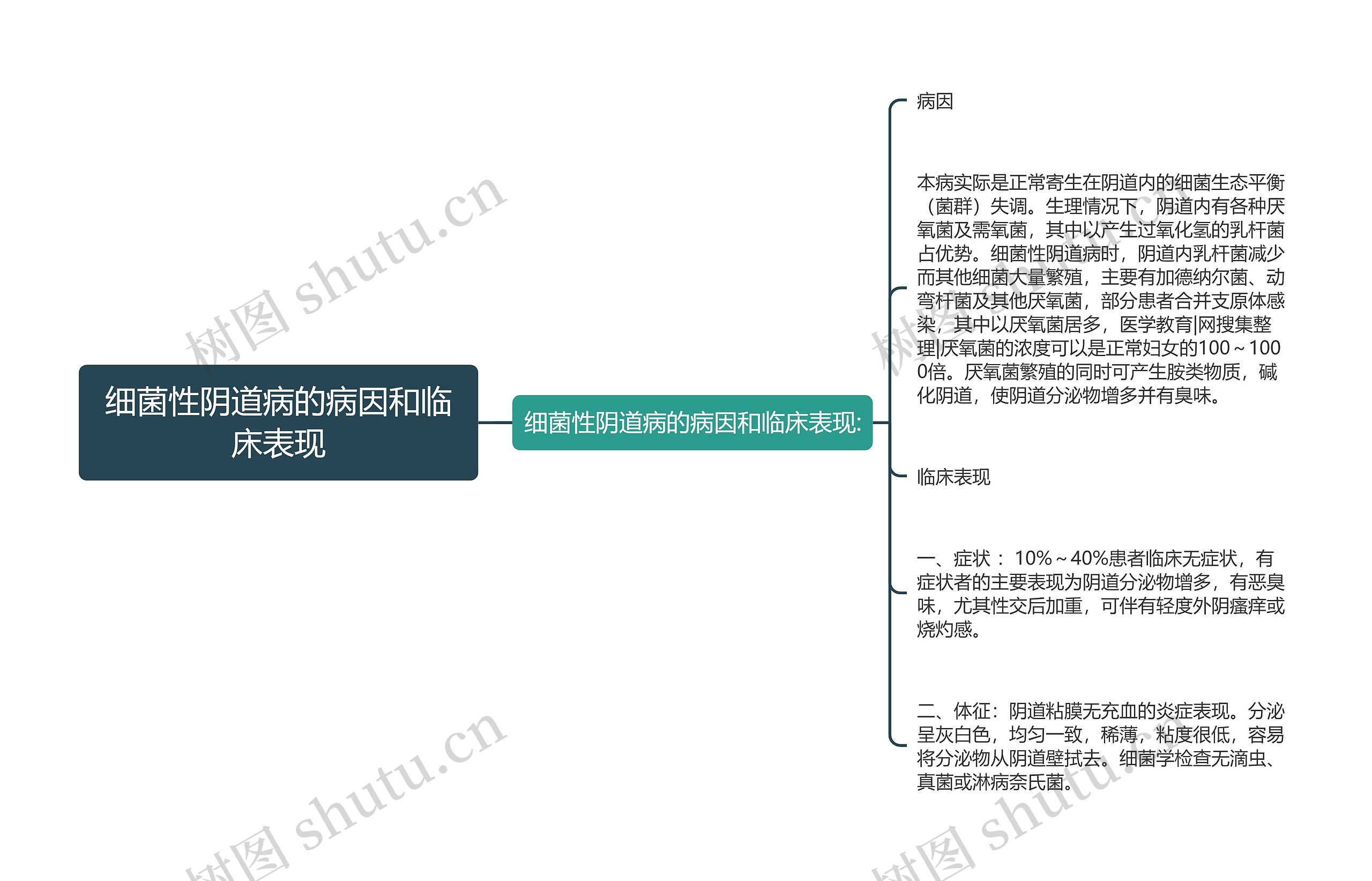 细菌性阴道病的病因和临床表现思维导图