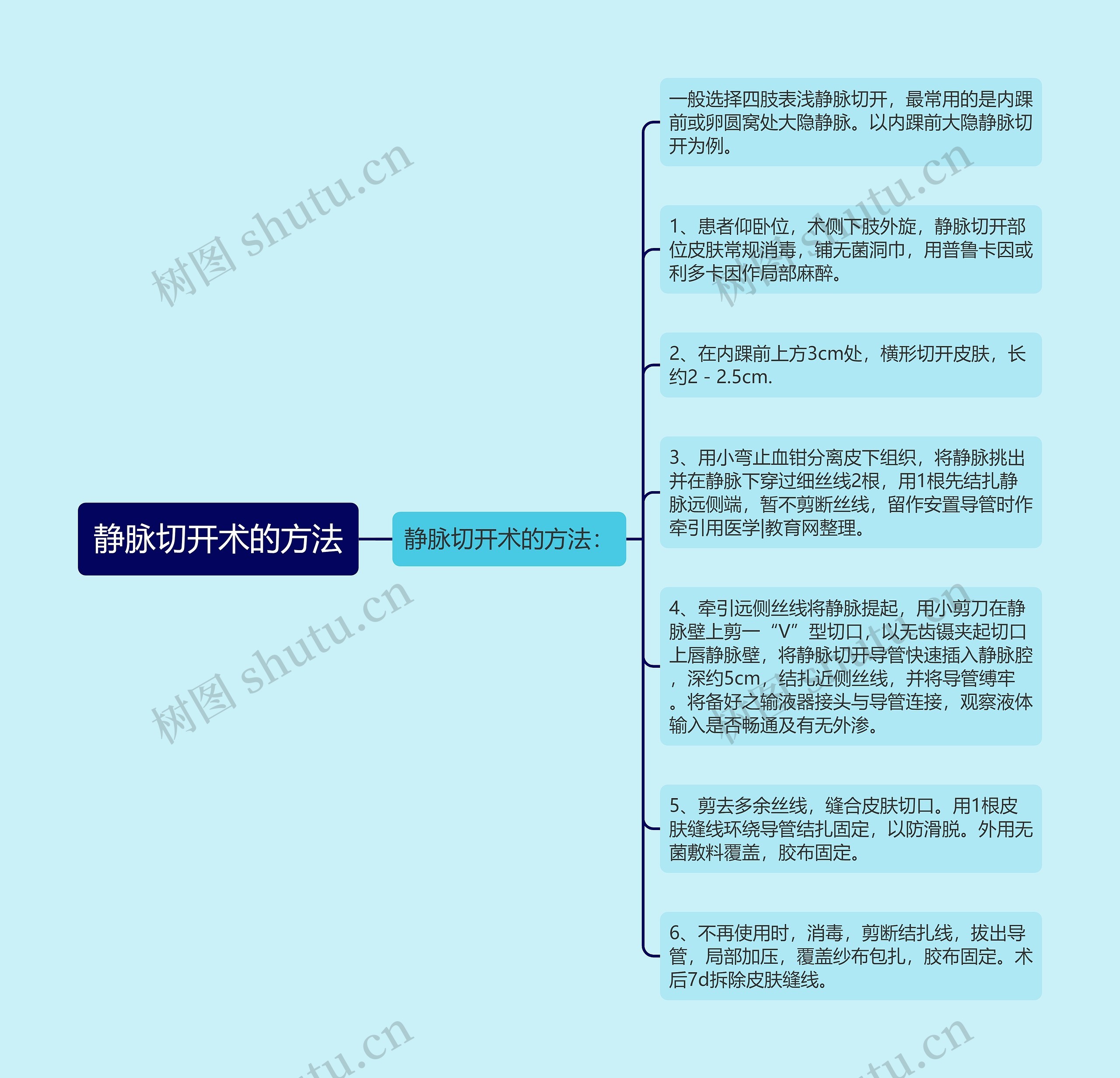 静脉切开术的方法思维导图