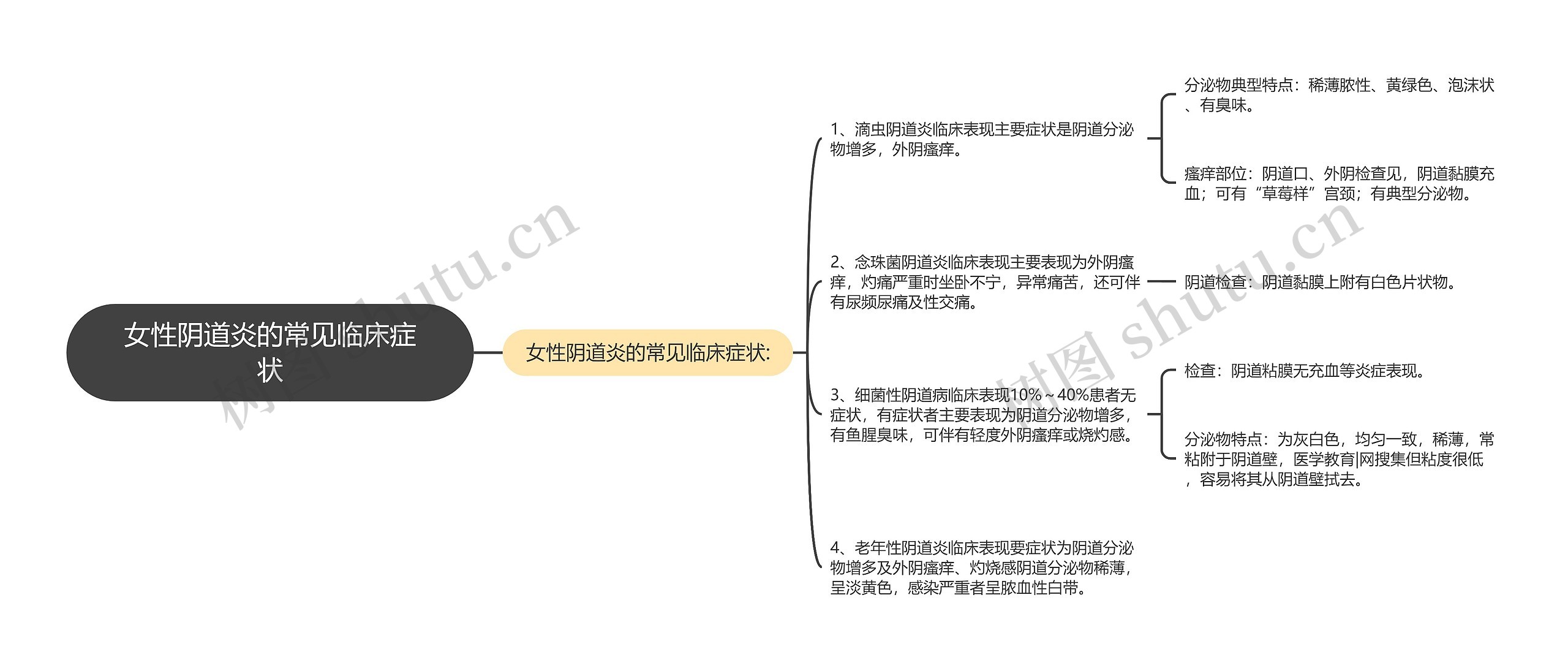 女性阴道炎的常见临床症状思维导图