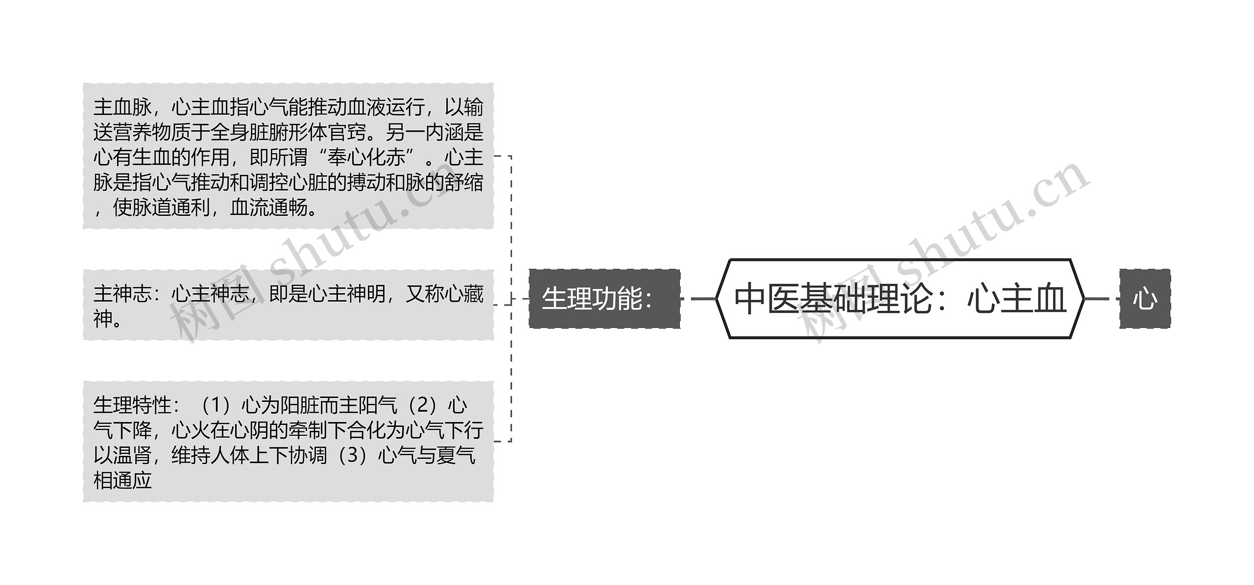 中医基础理论：心主血思维导图