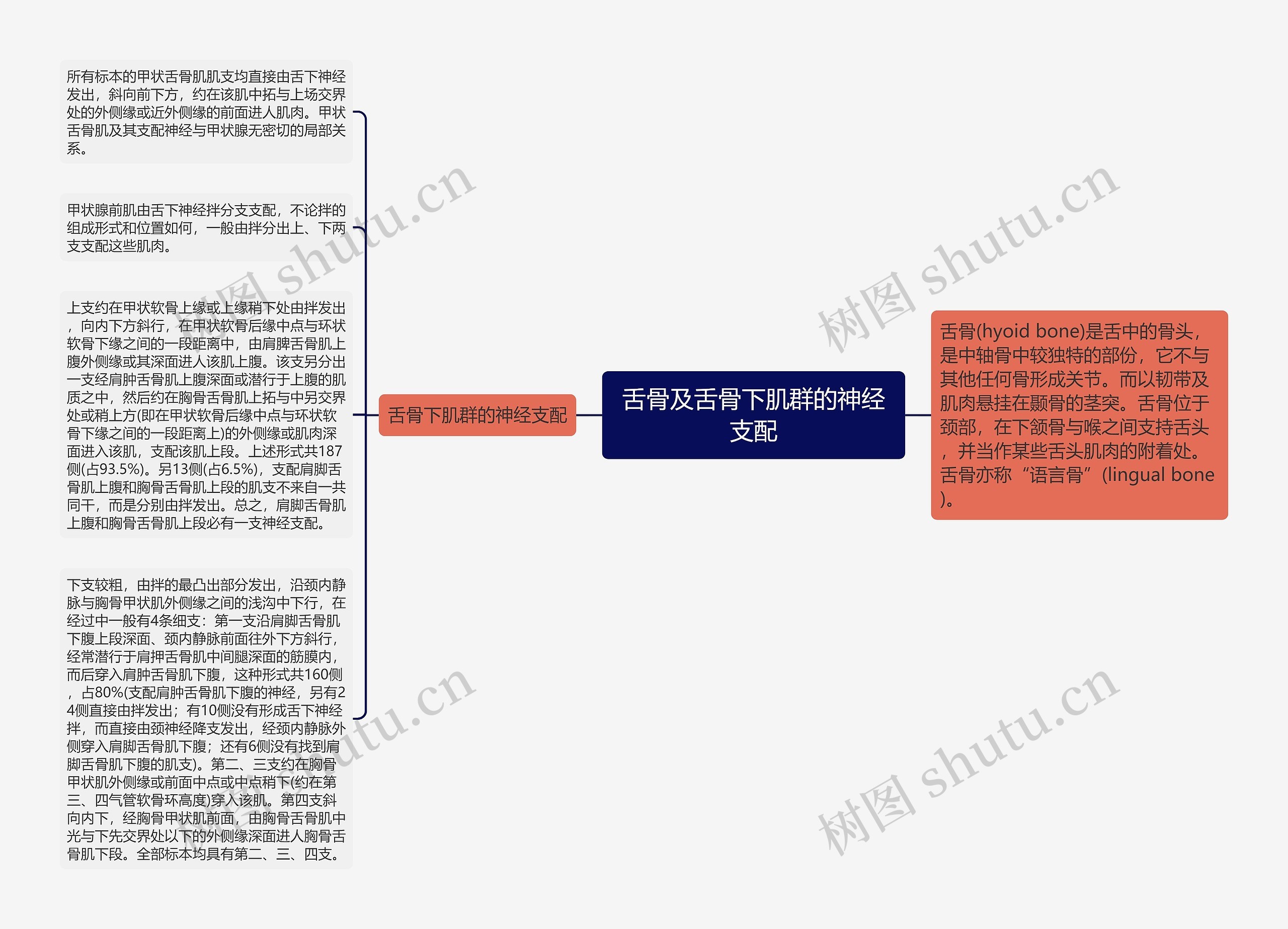 舌骨及舌骨下肌群的神经支配