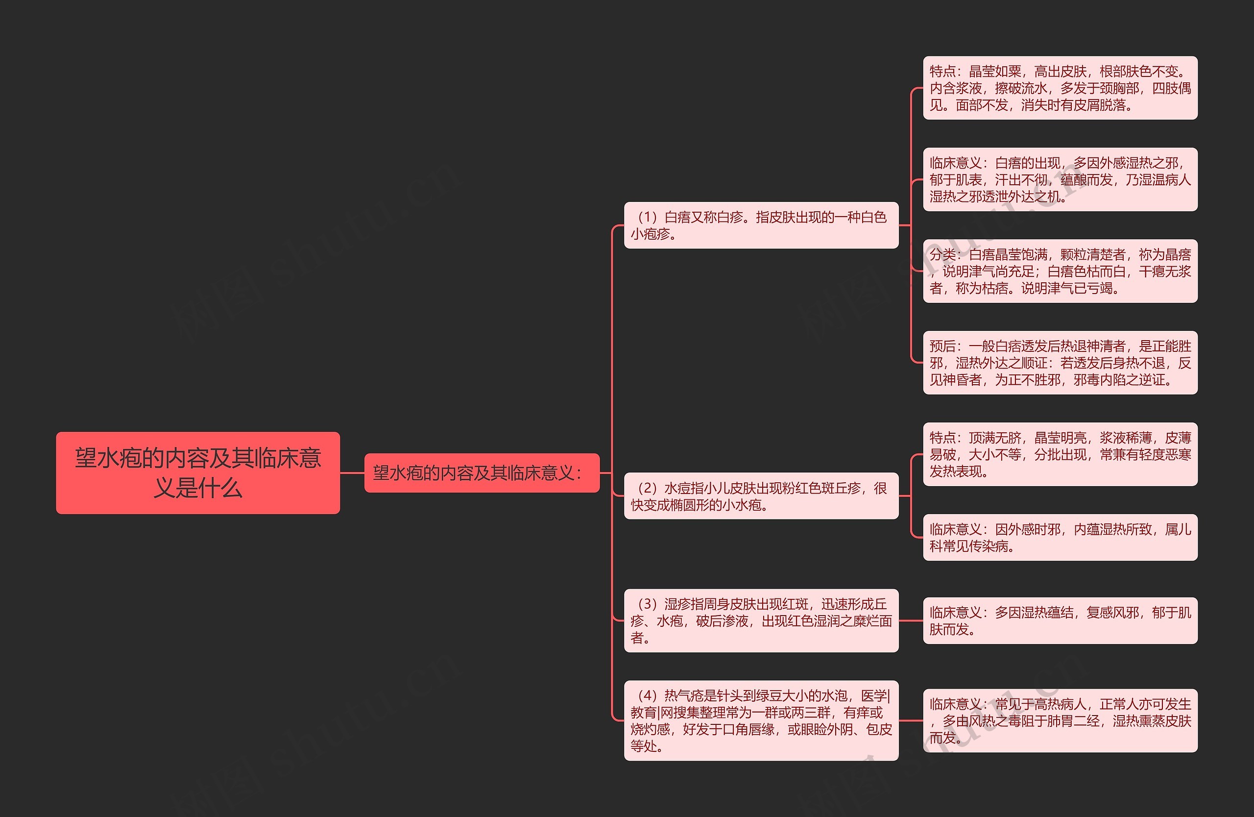 望水疱的内容及其临床意义是什么