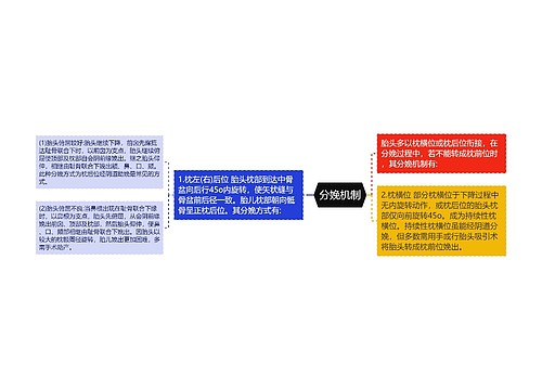 分娩机制