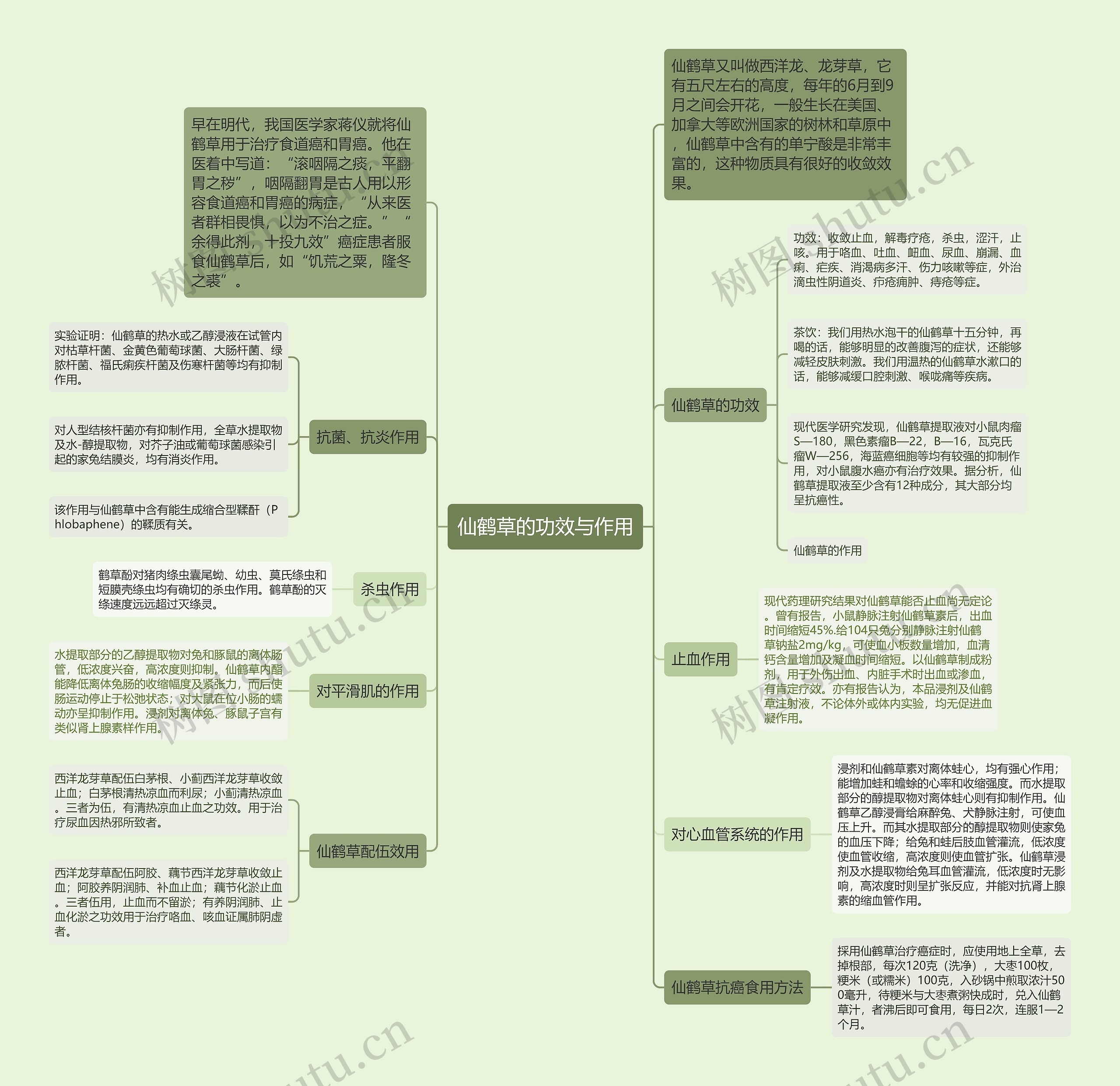 仙鹤草的功效与作用思维导图