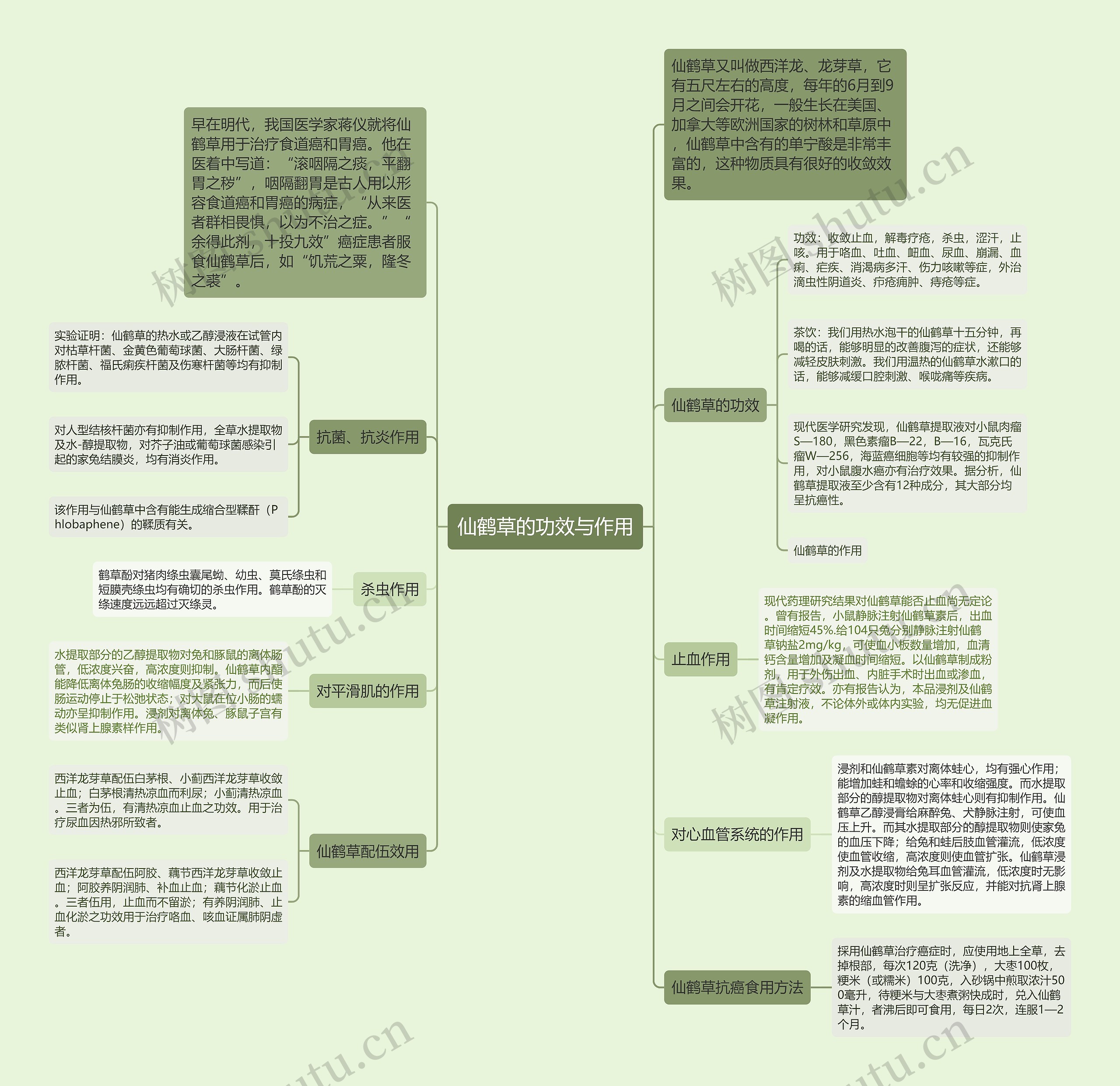 仙鹤草的功效与作用 仙鹤草的功效与作用