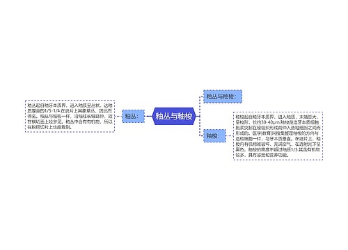 釉丛与釉梭