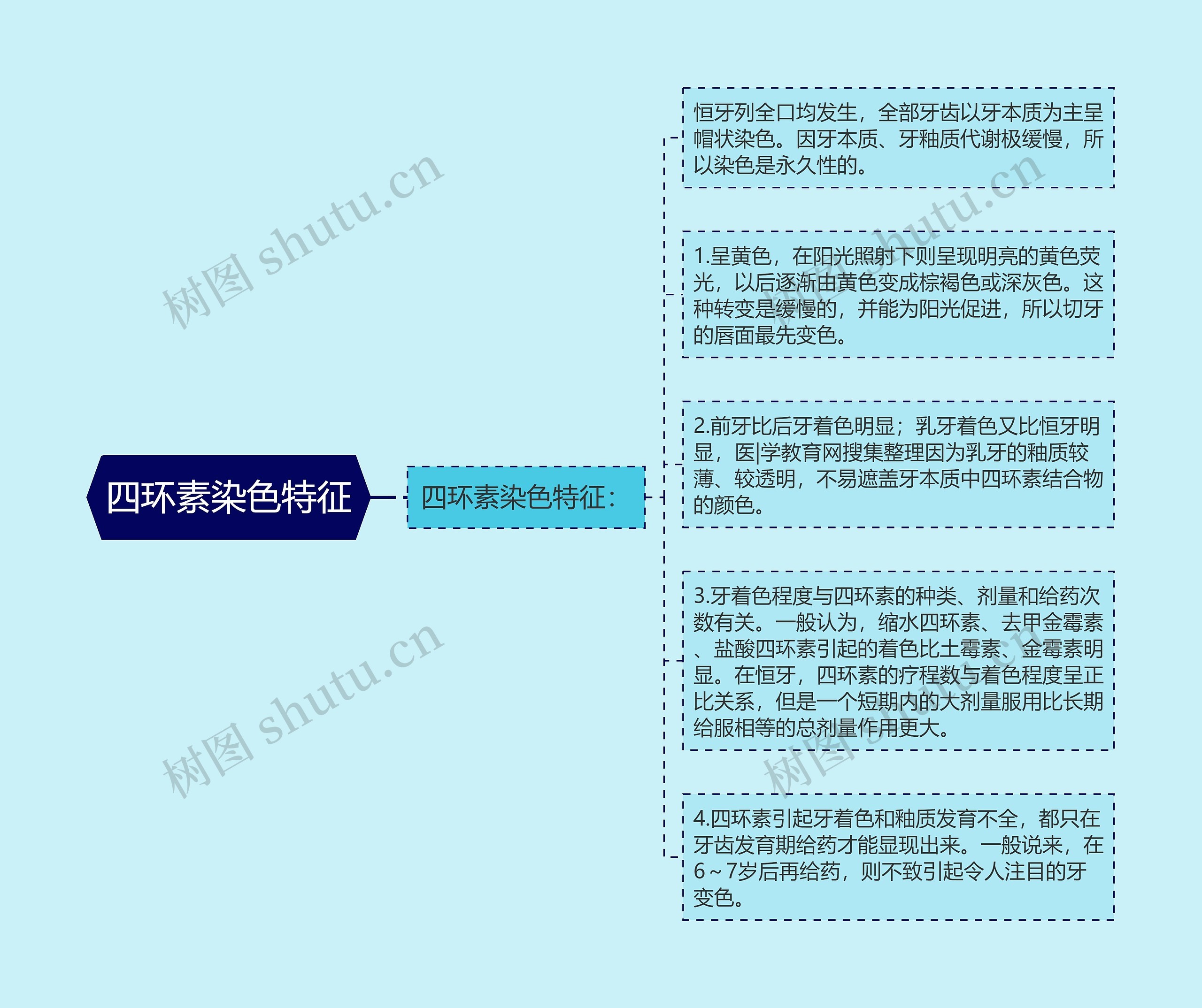 四环素染色特征思维导图