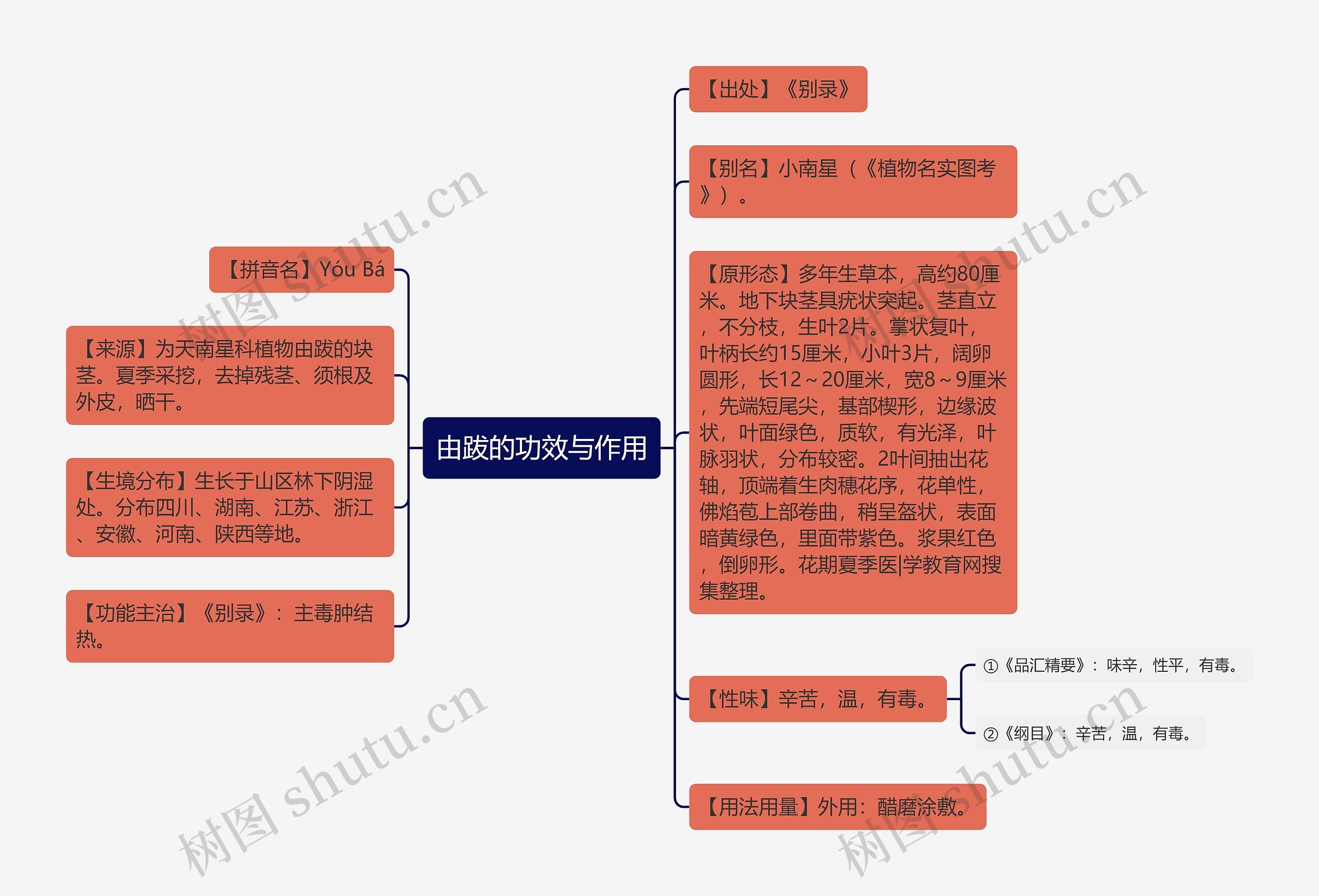 由跋的功效与作用思维导图