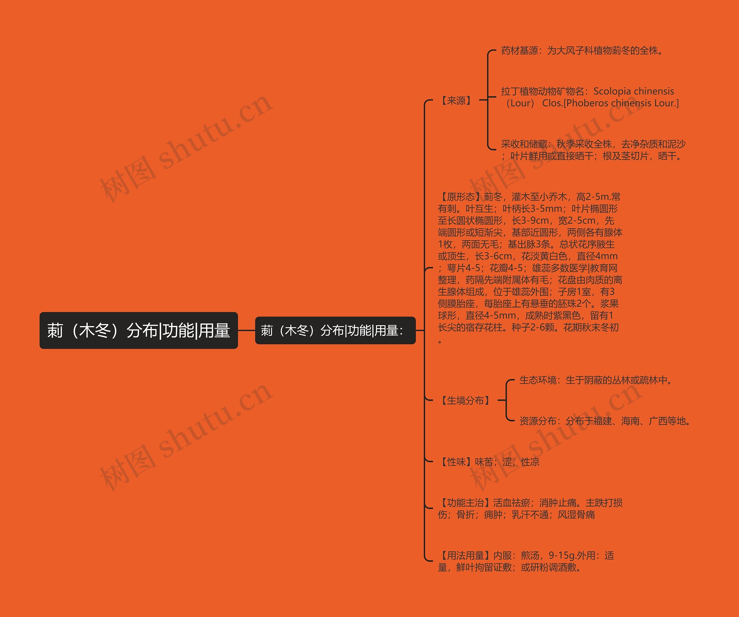 莿(木冬)分布|功能|用量 莿(木冬)分布|功能|用量
