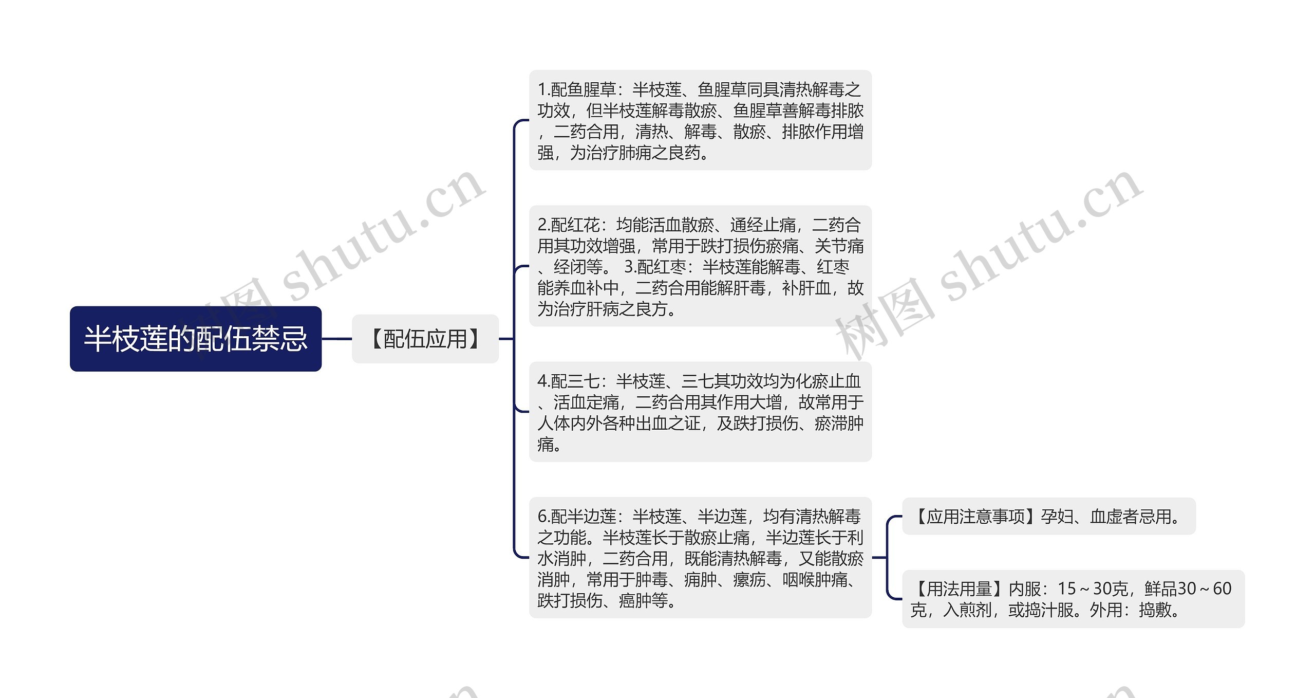 半枝莲的配伍禁忌