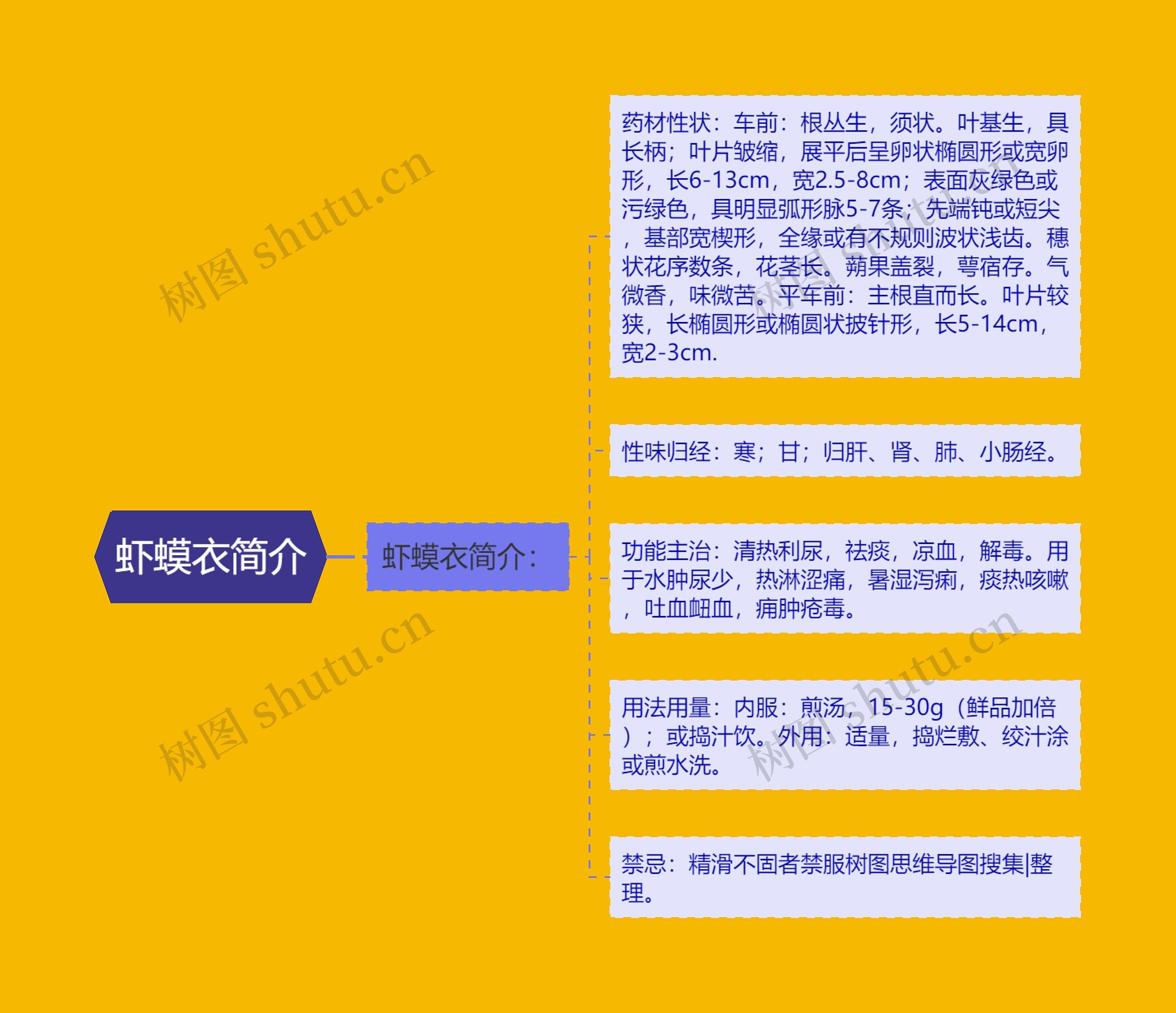 虾蟆衣简介 虾蟆衣简介