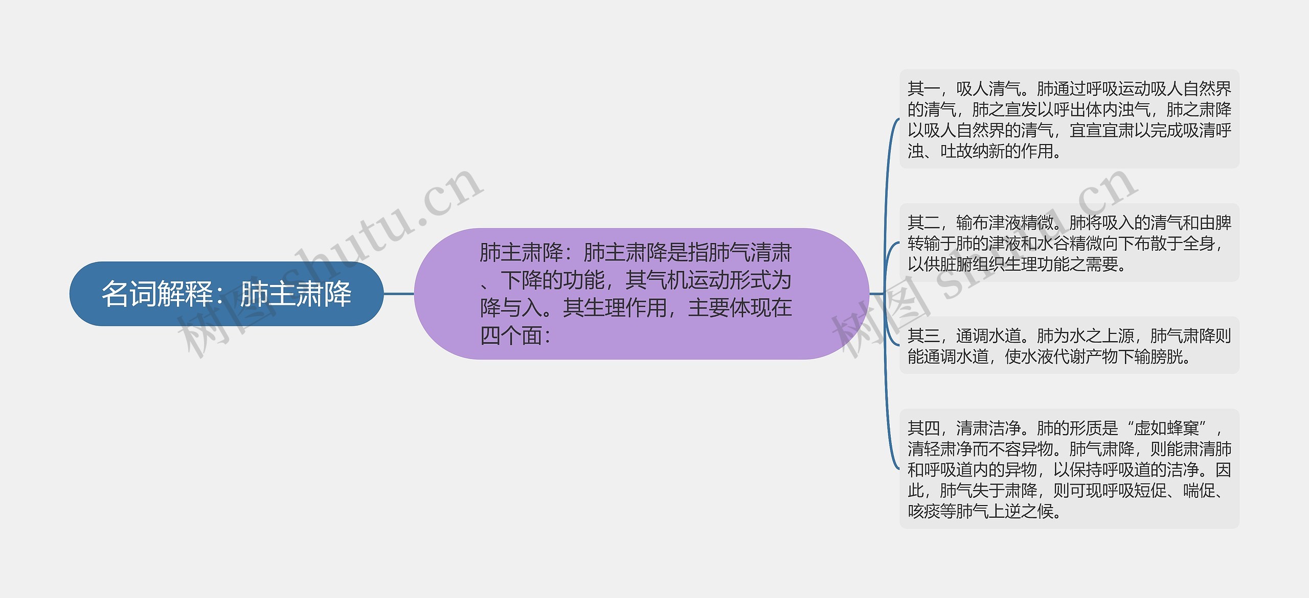 名词解释：肺主肃降思维导图