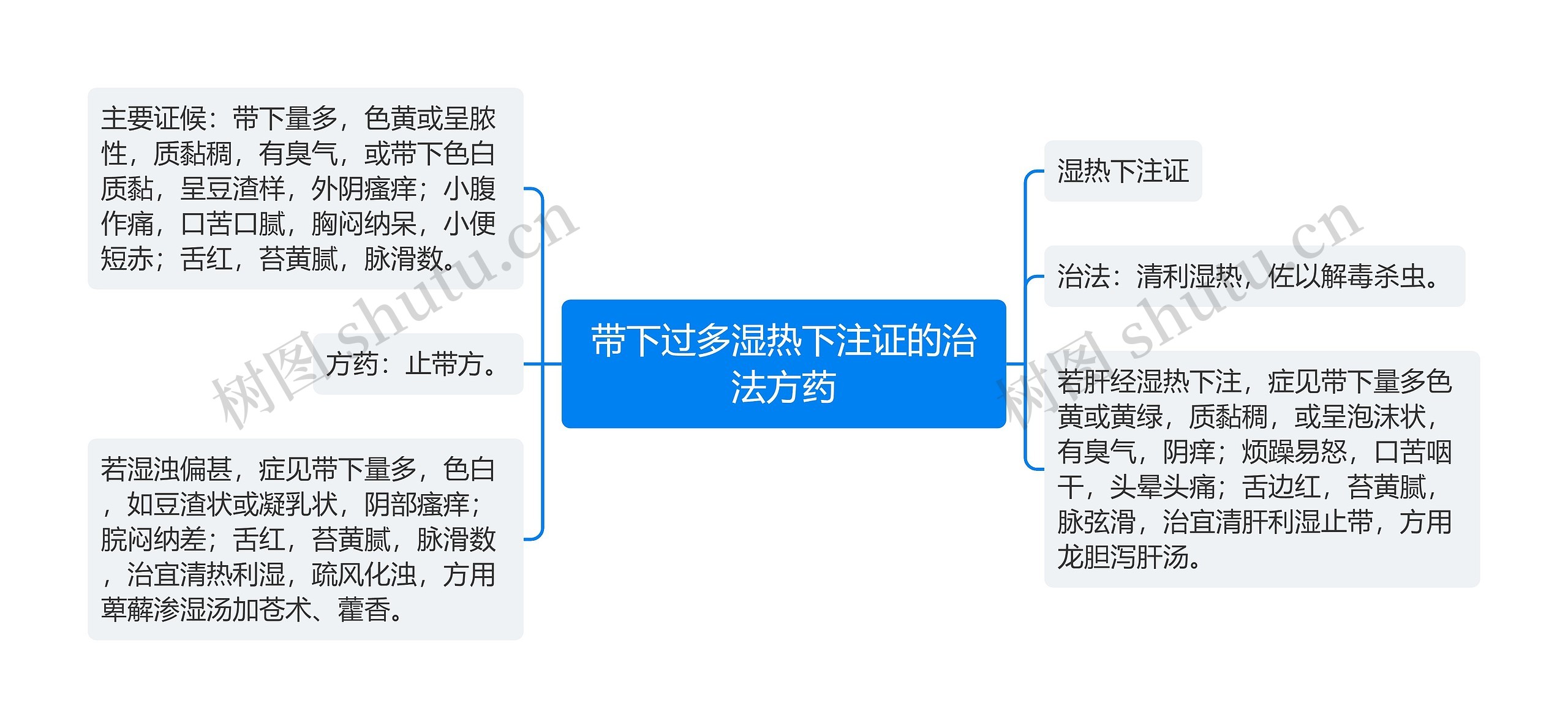 带下过多湿热下注证的治法方药思维导图