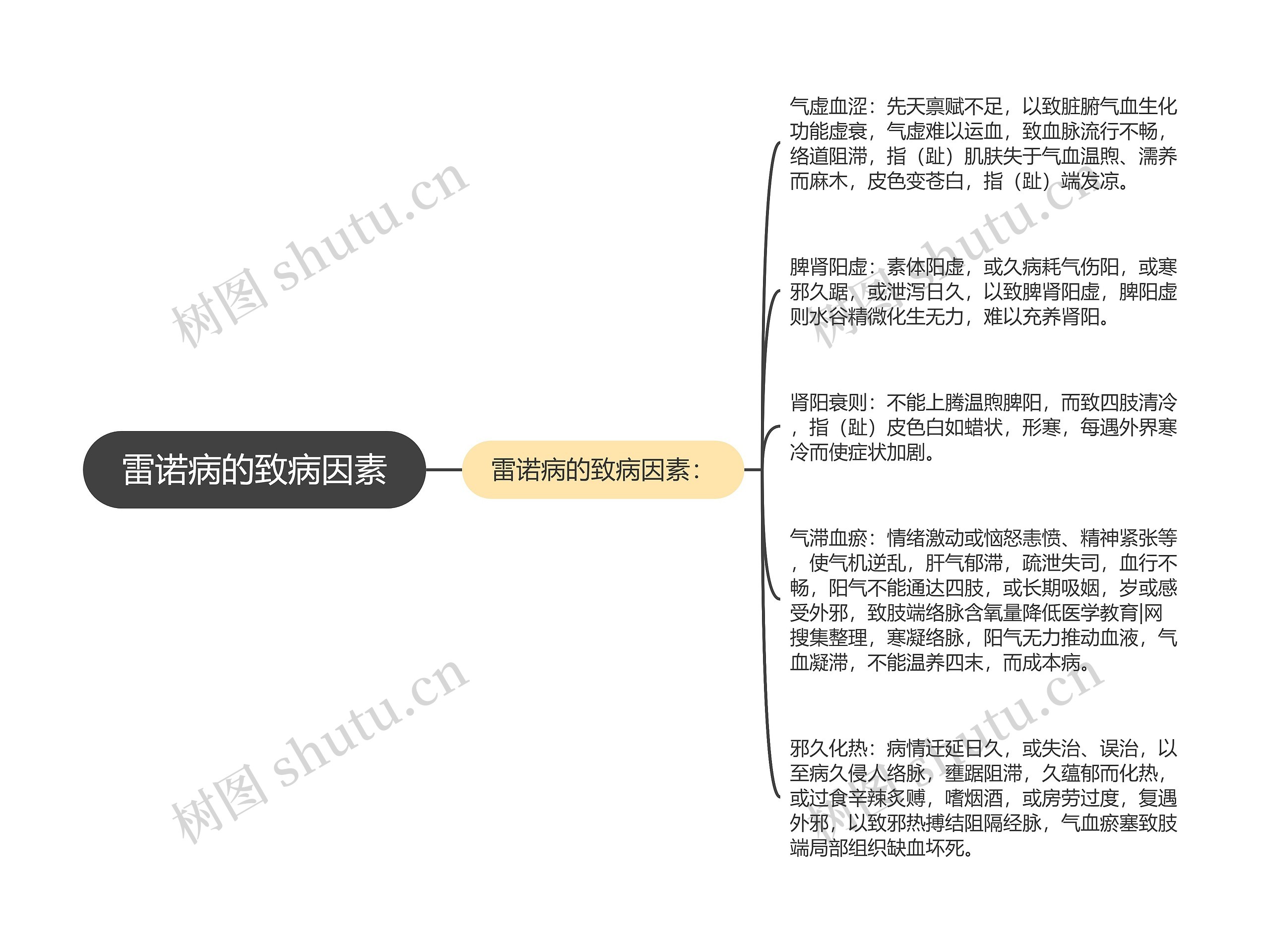 雷诺病的致病因素思维导图