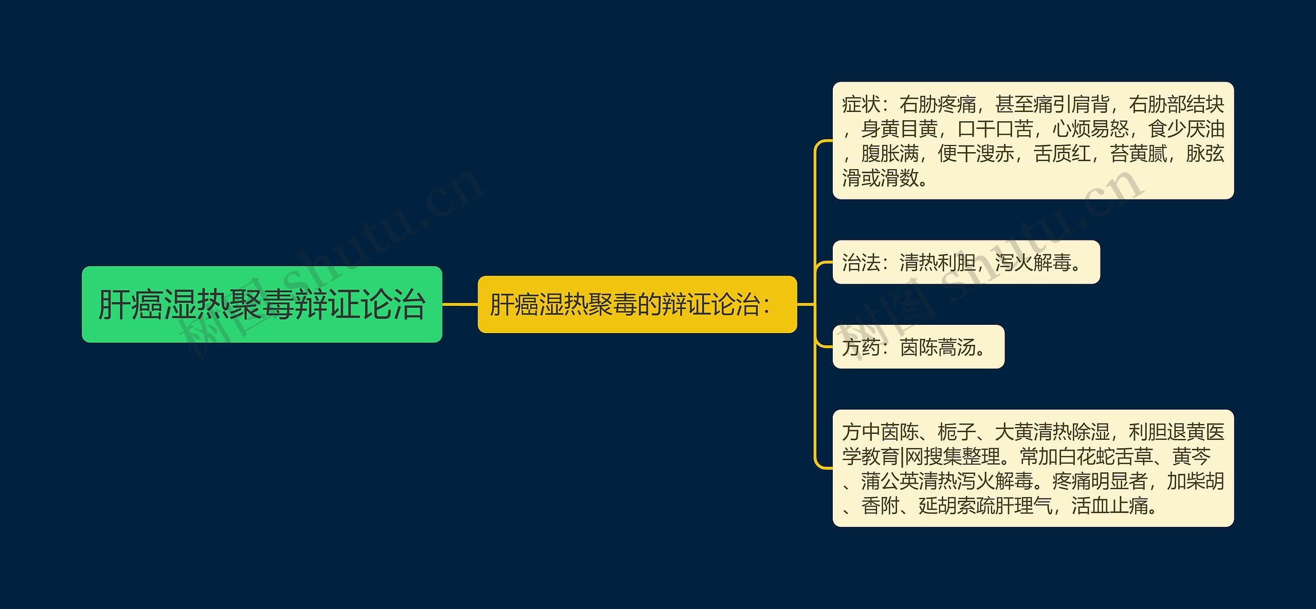 肝癌湿热聚毒辩证论治思维导图