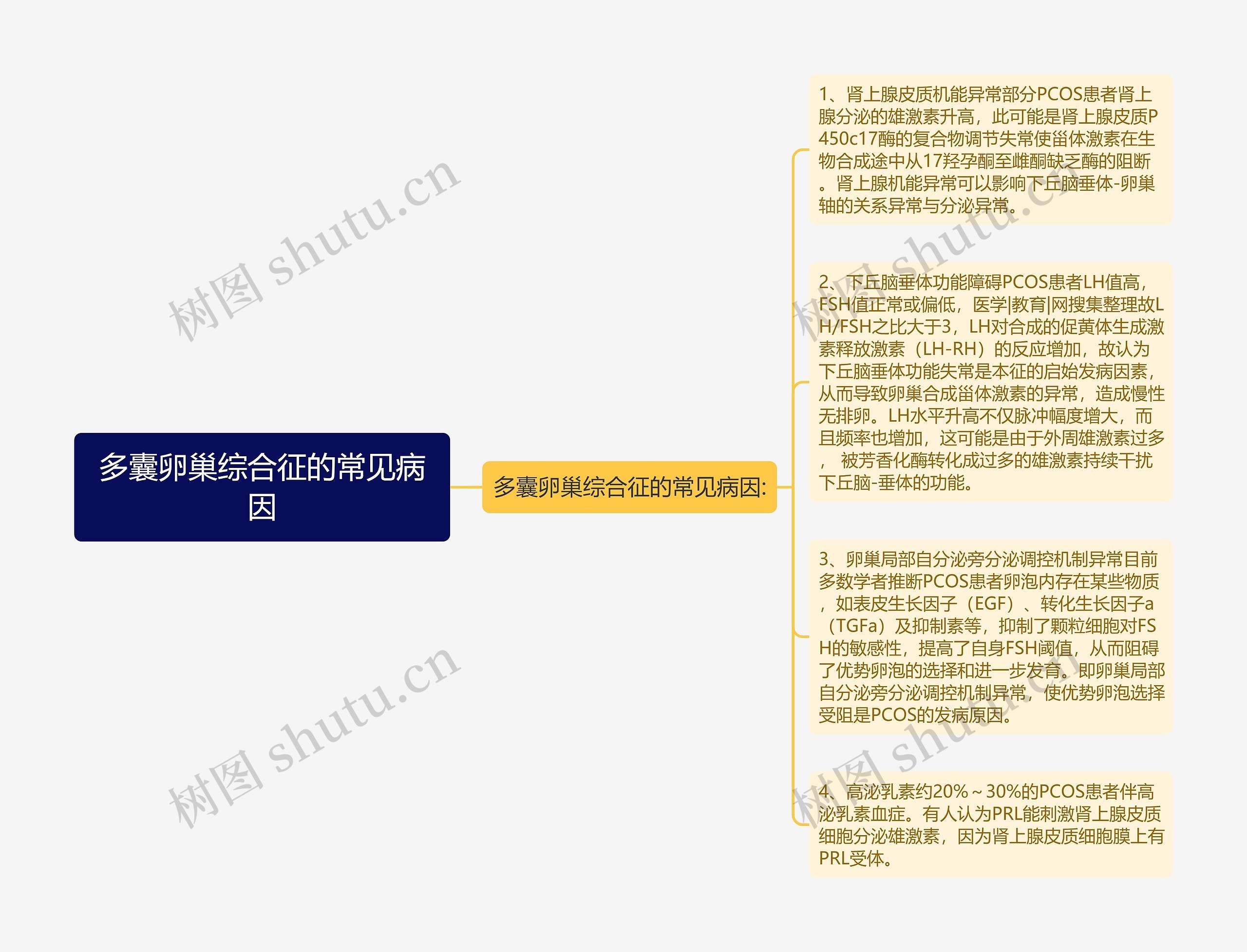 多囊卵巢综合征的常见病因思维导图