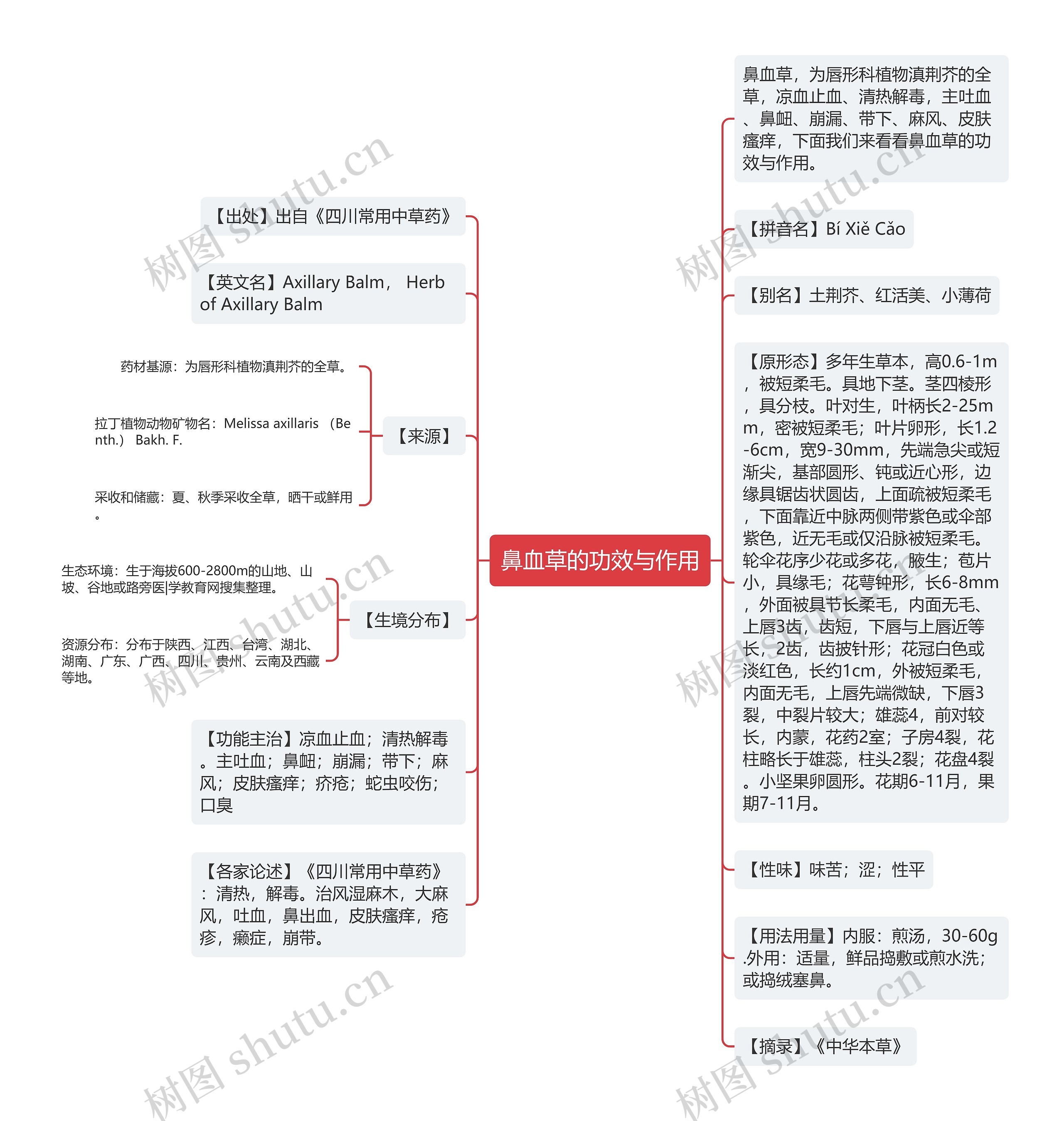 鼻血草的功效与作用思维导图