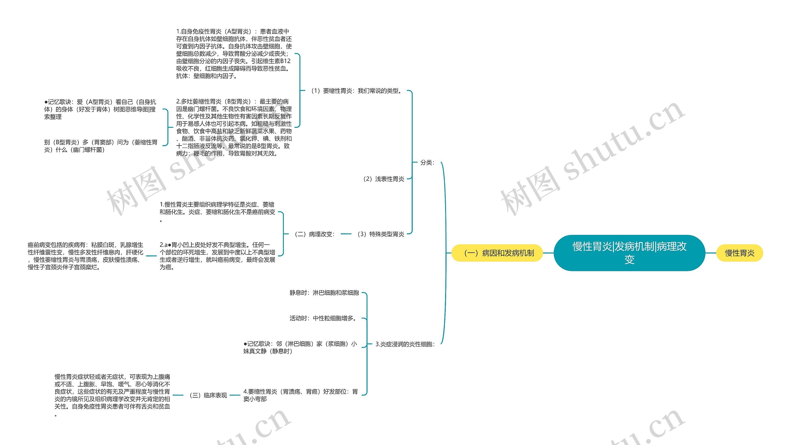 慢性胃炎|发病机制|病理改变思维导图