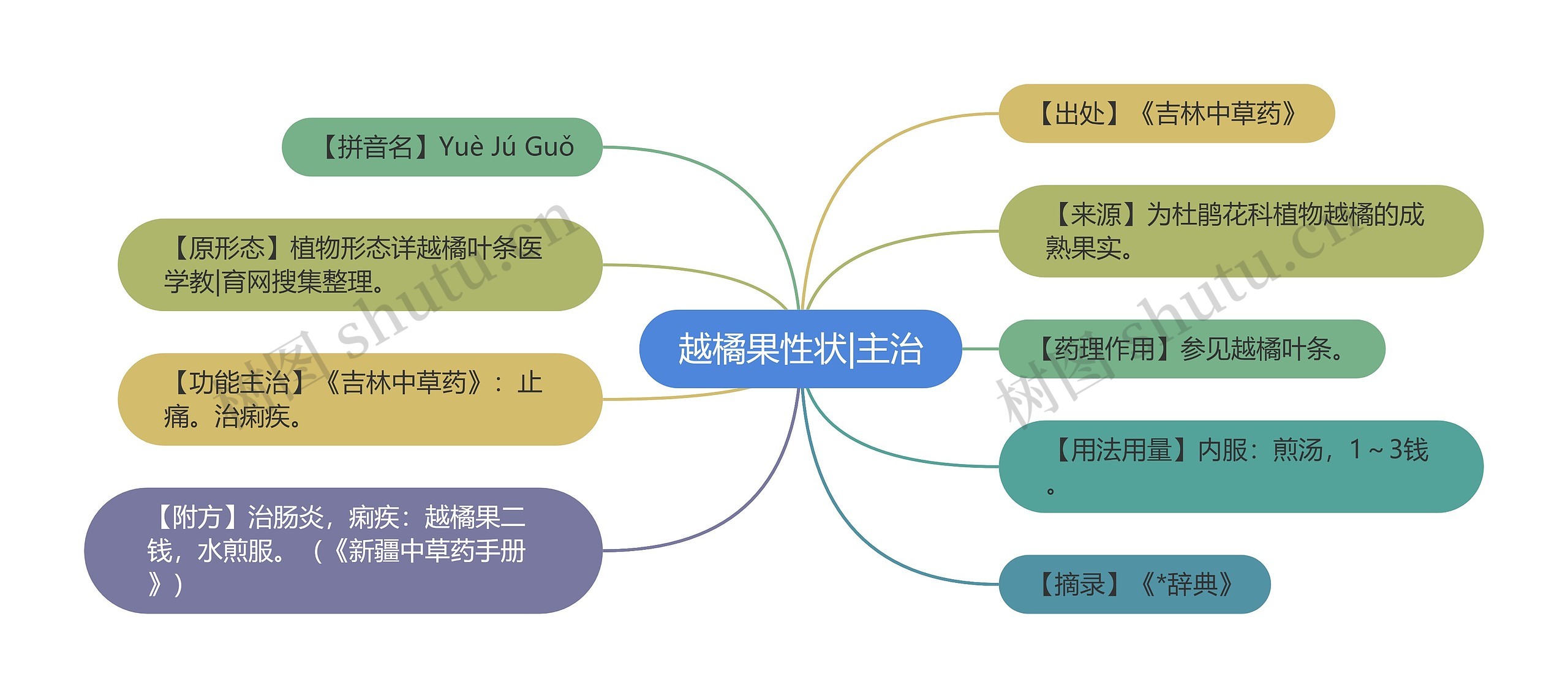 越橘果性状|主治思维导图