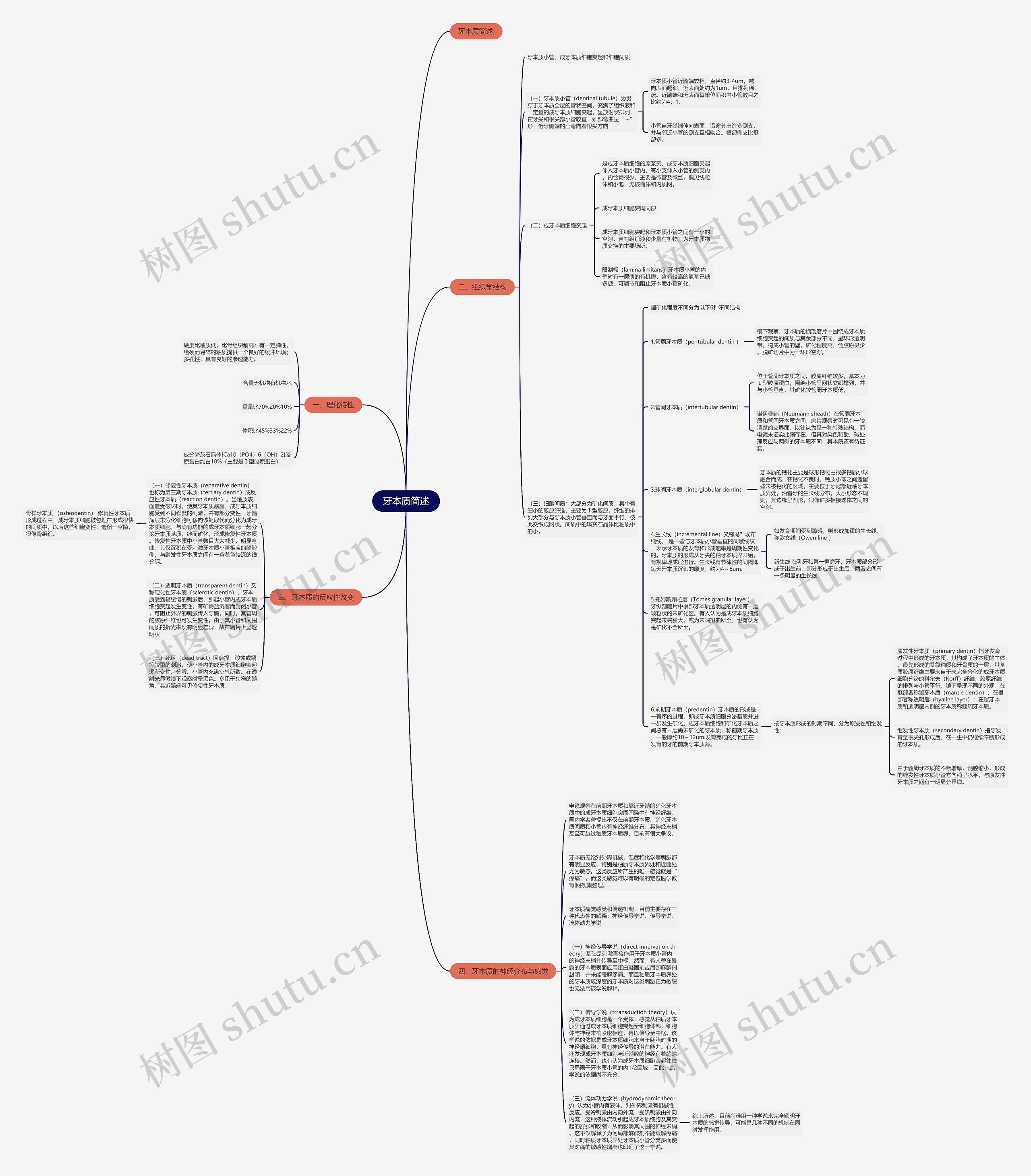 牙本质简述思维导图